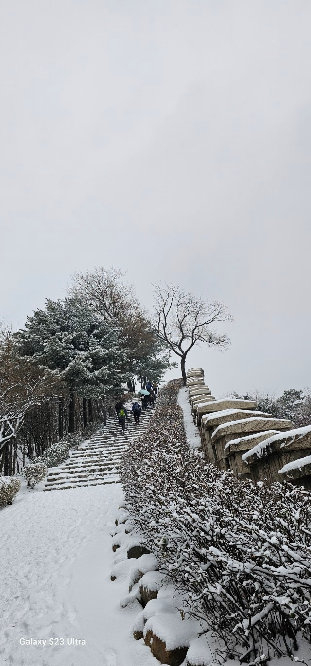 6_058Ud018svc2dm976sqbmur_1wzdso (1).jpg