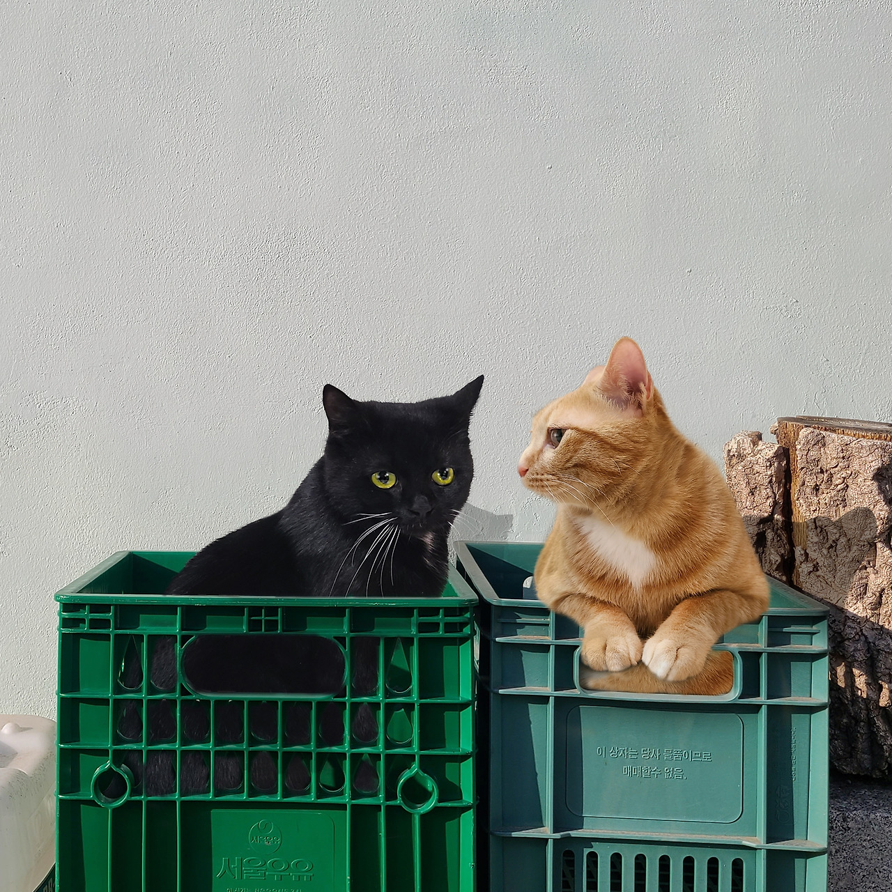 09. 우유곽버터.jpg