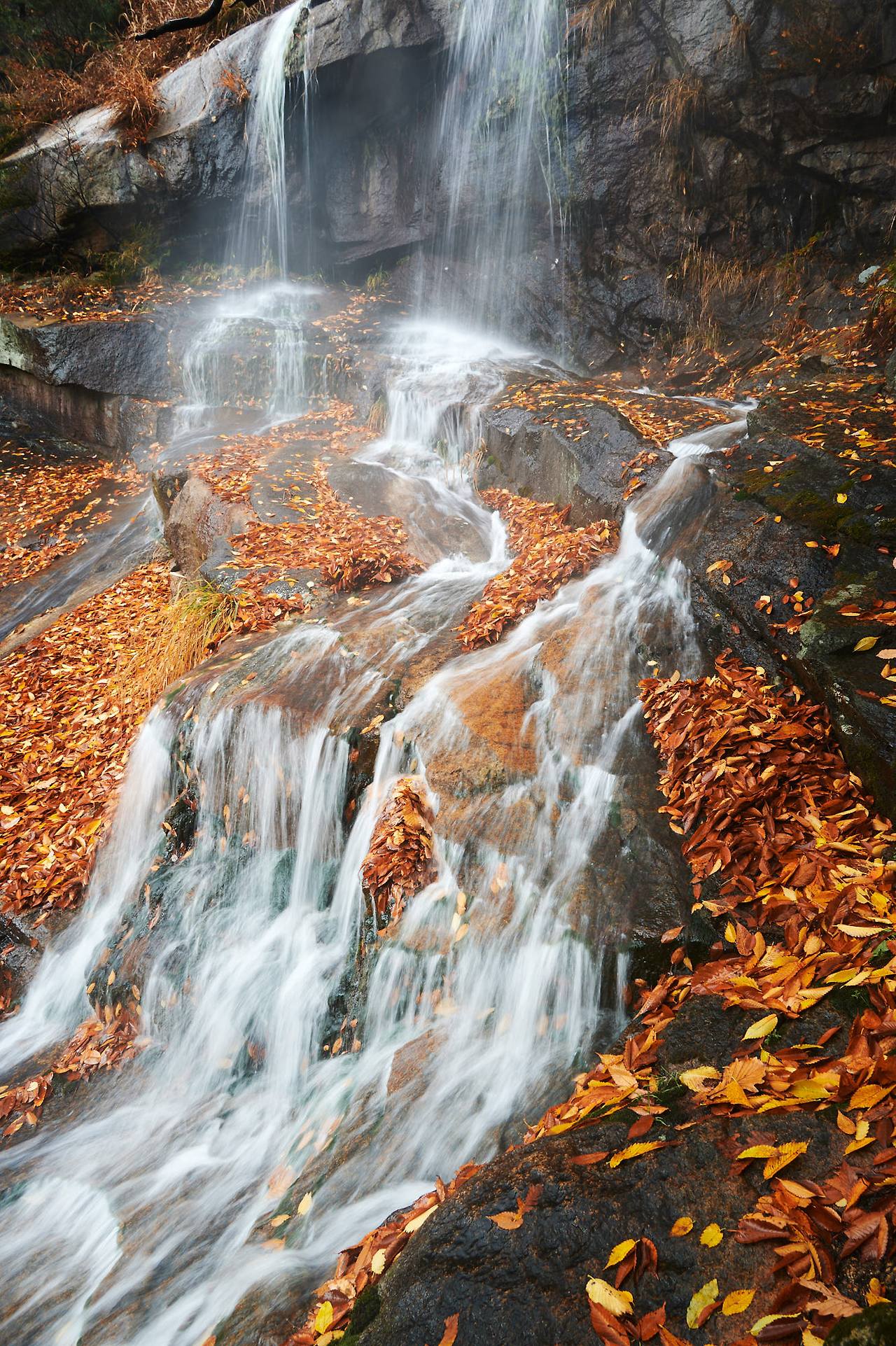 27 1 waterfall 3 seasons-07.jpg