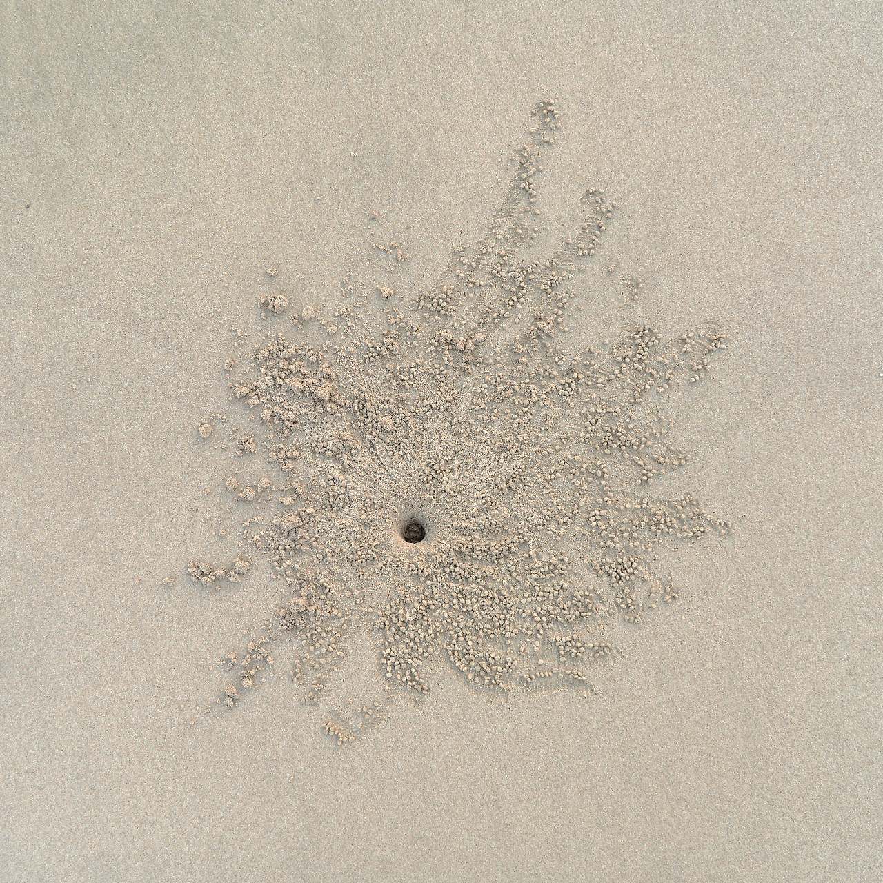 24 hours on an island-10.jpg