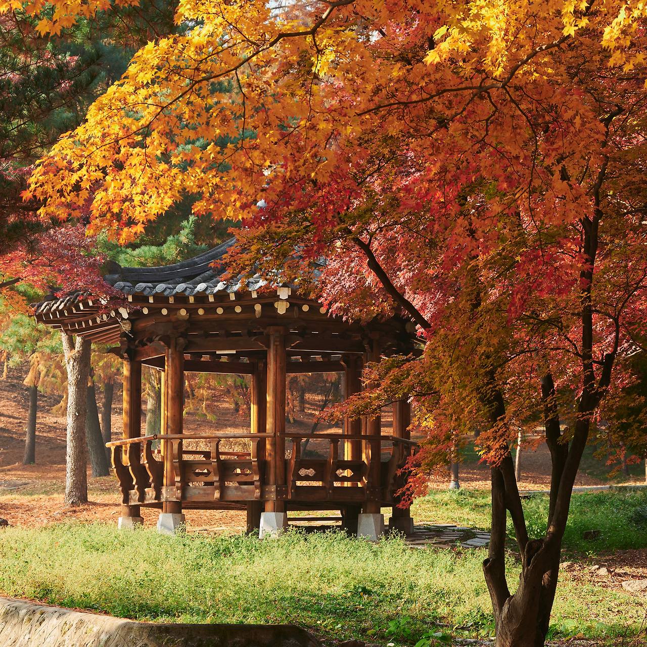 26 autumn at the park-05.jpg