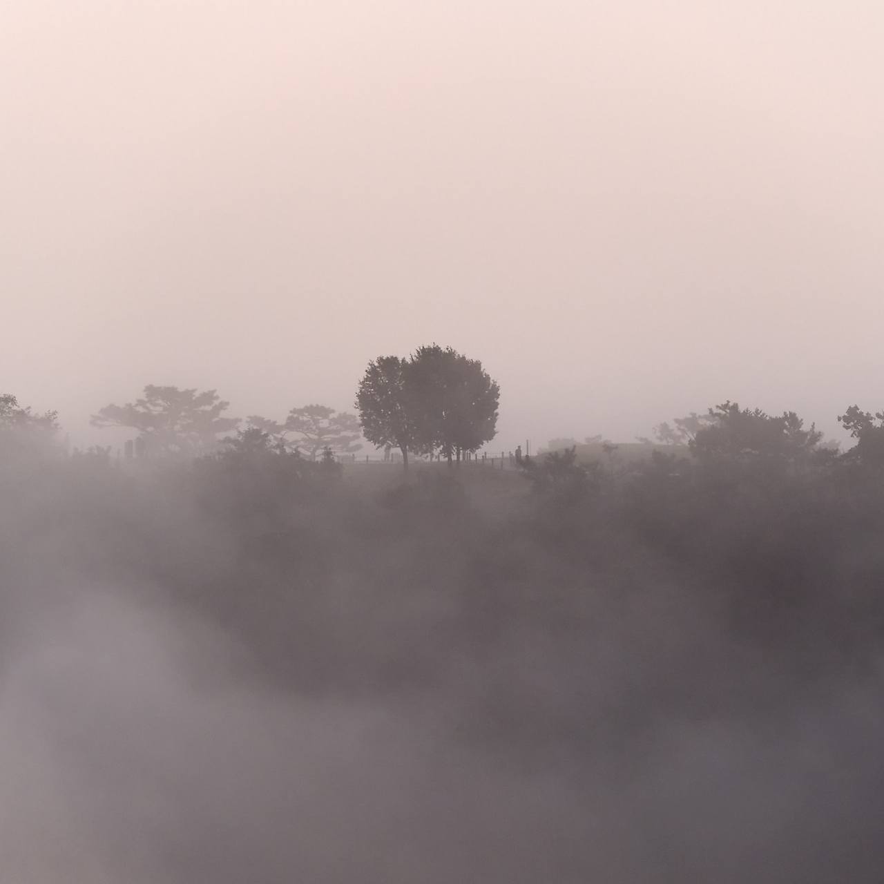 16 Clouds and fog-02.jpg