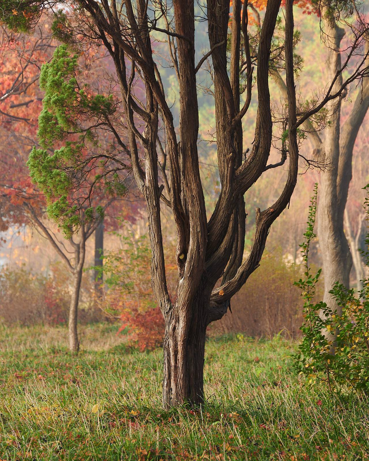 26 autumn at the park-03.jpg