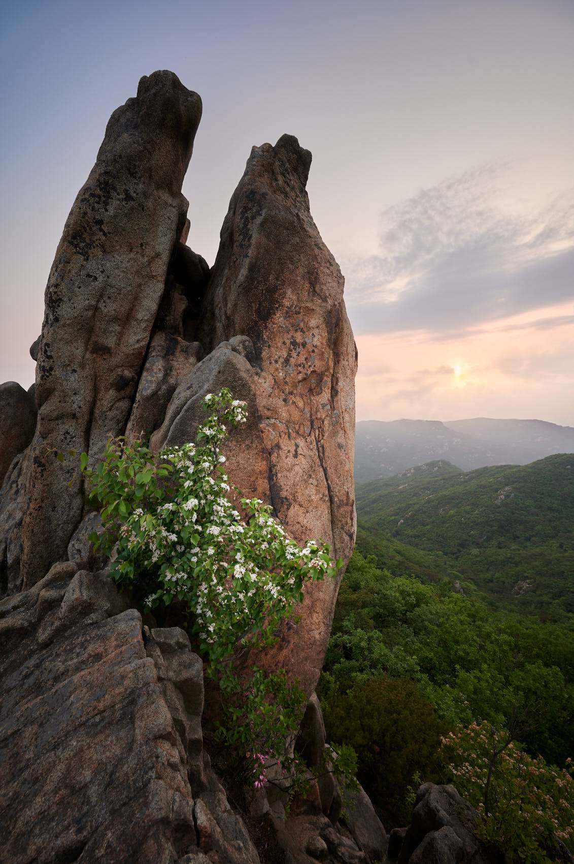 20 Spring, flowers and views-15.jpg