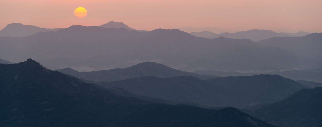 20 Spring, flowers and views-02.jpg