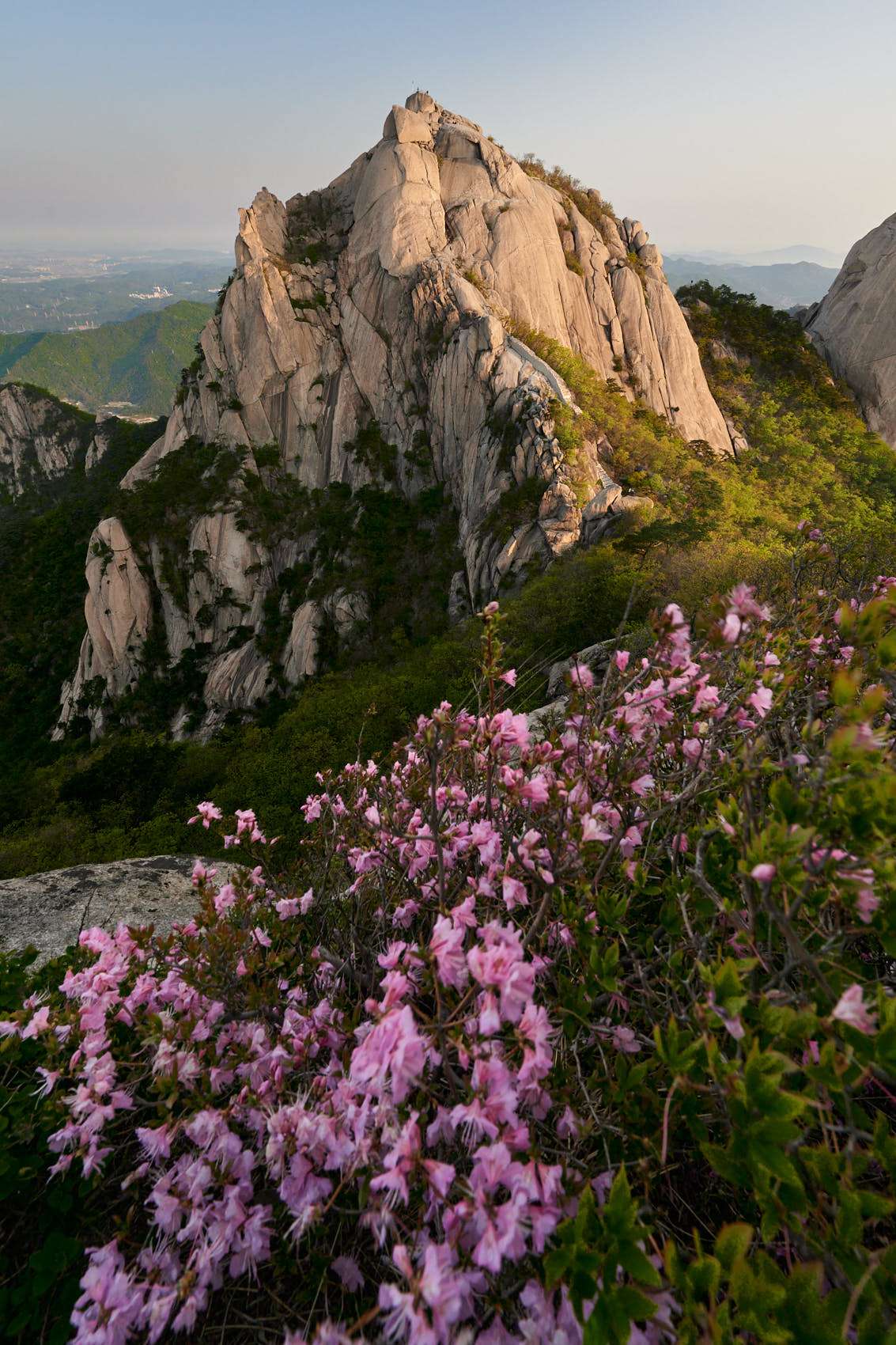 20 Spring, flowers and views-04.jpg