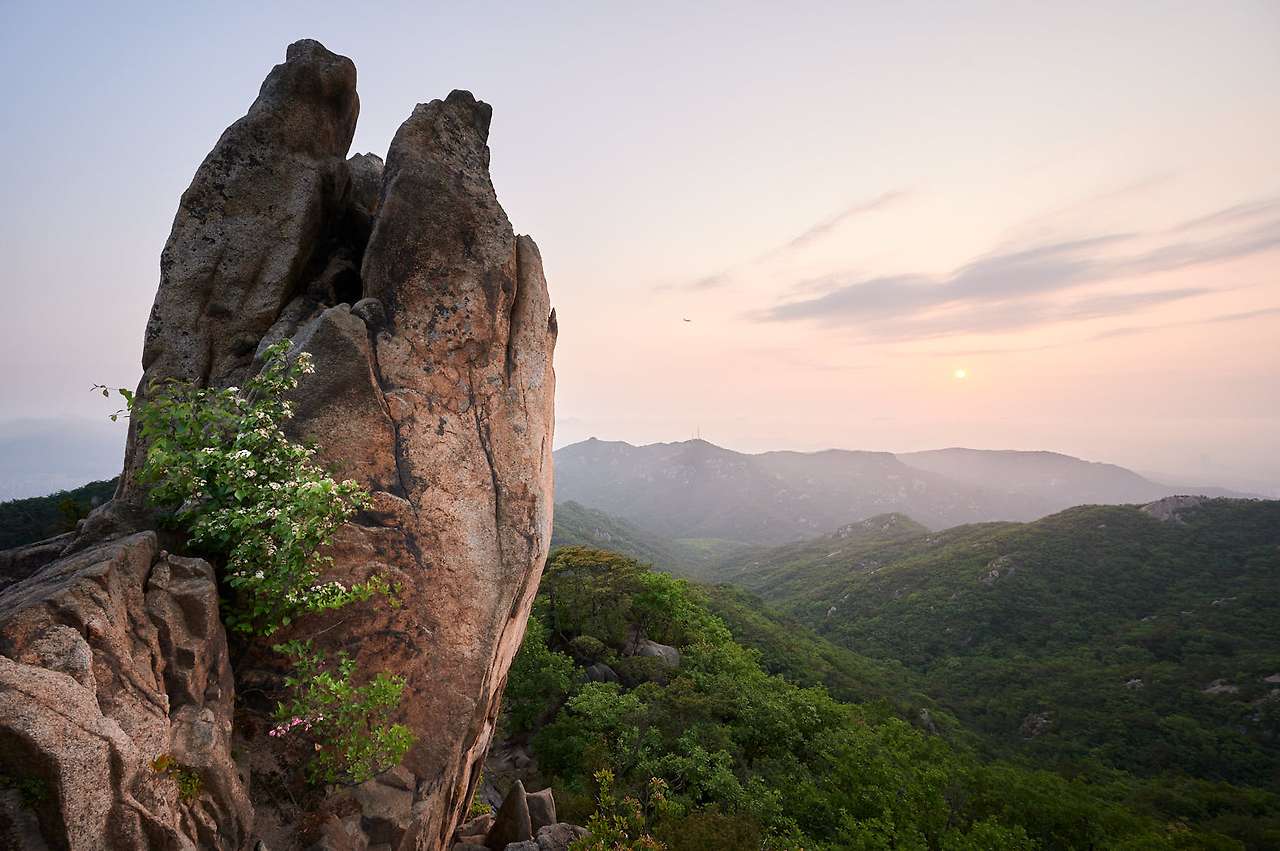 20 Spring, flowers and views-14.jpg