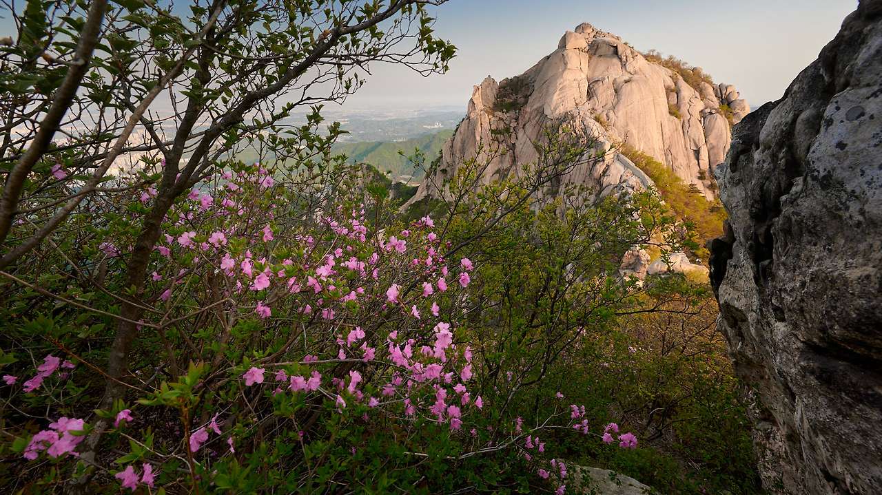 20 Spring, flowers and views-03.jpg