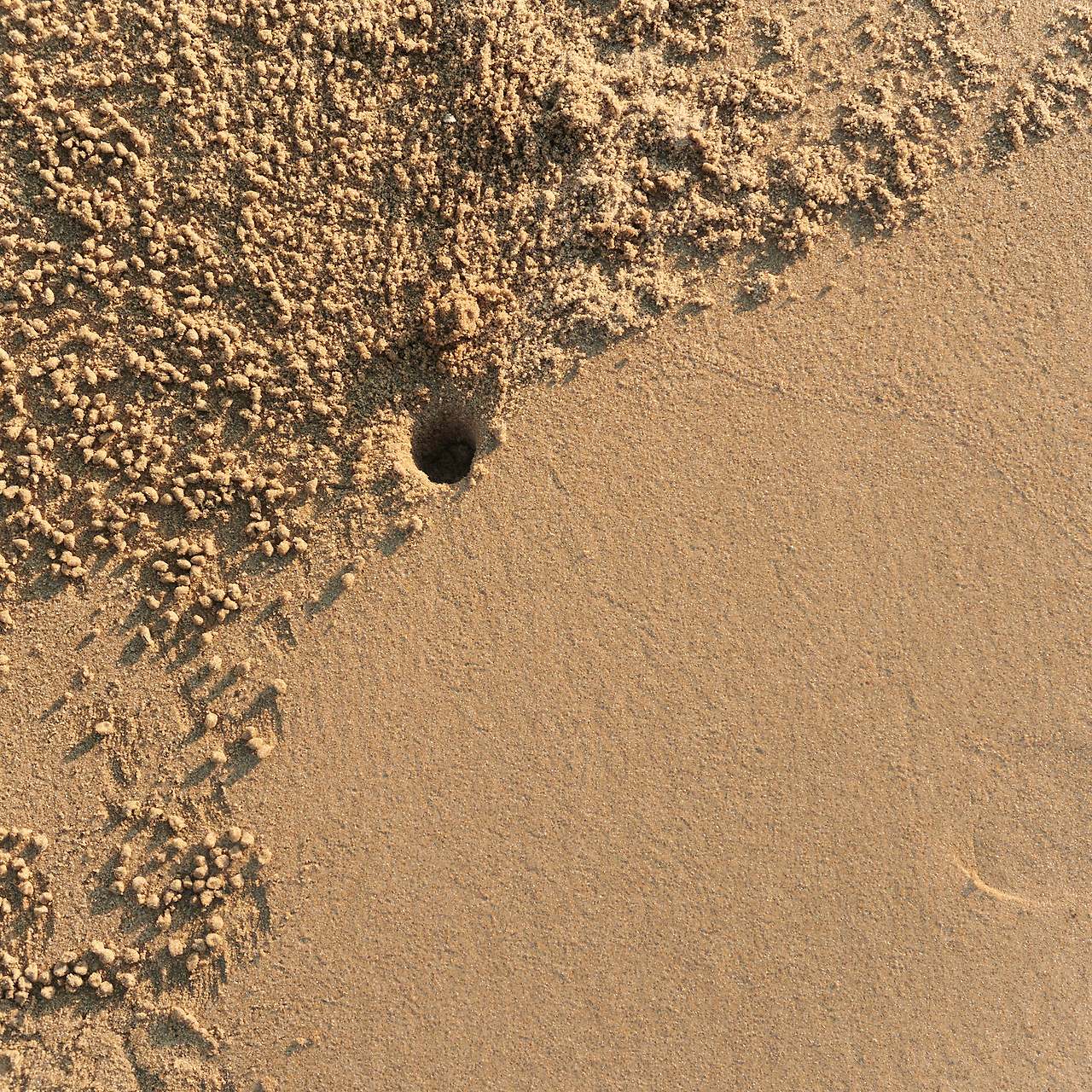 24 hours on an island-11.jpg