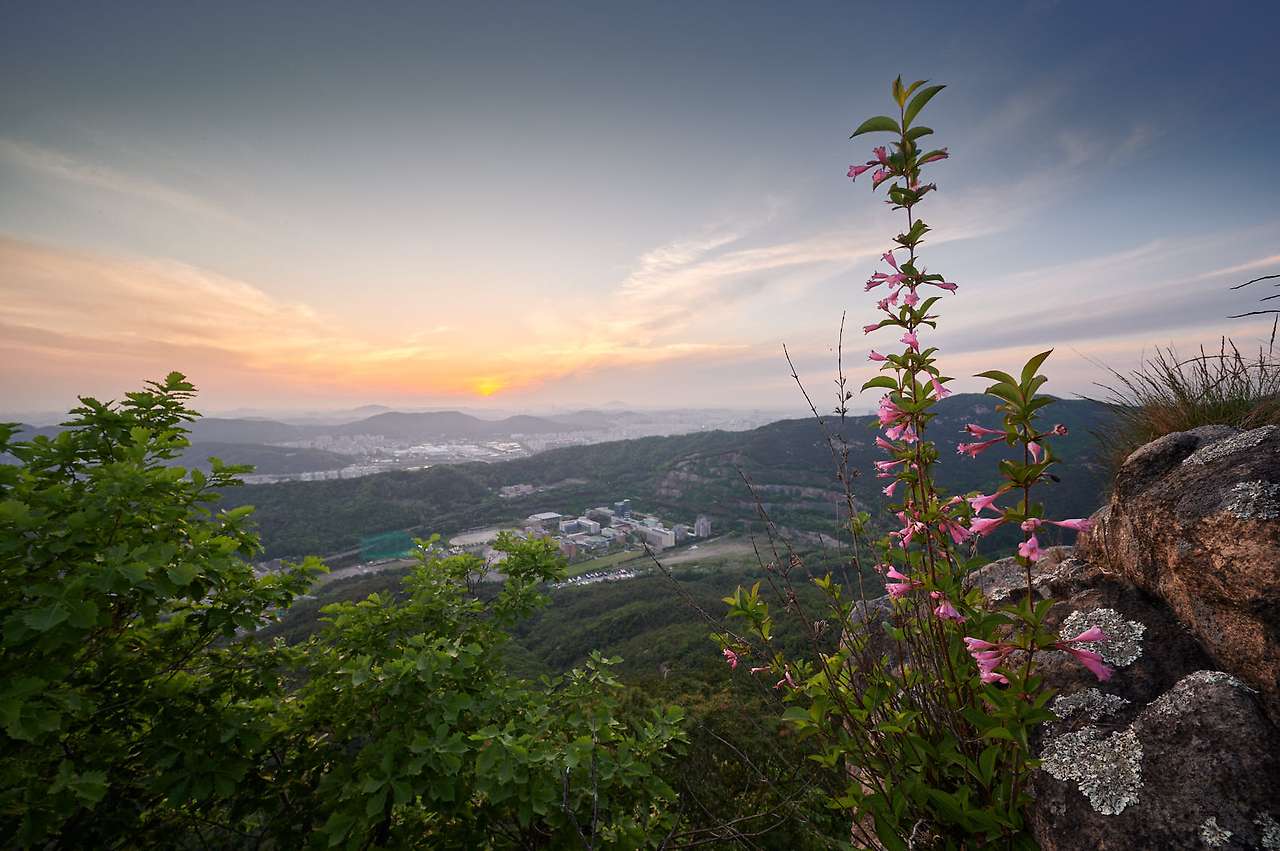 20 Spring, flowers and views-17.jpg