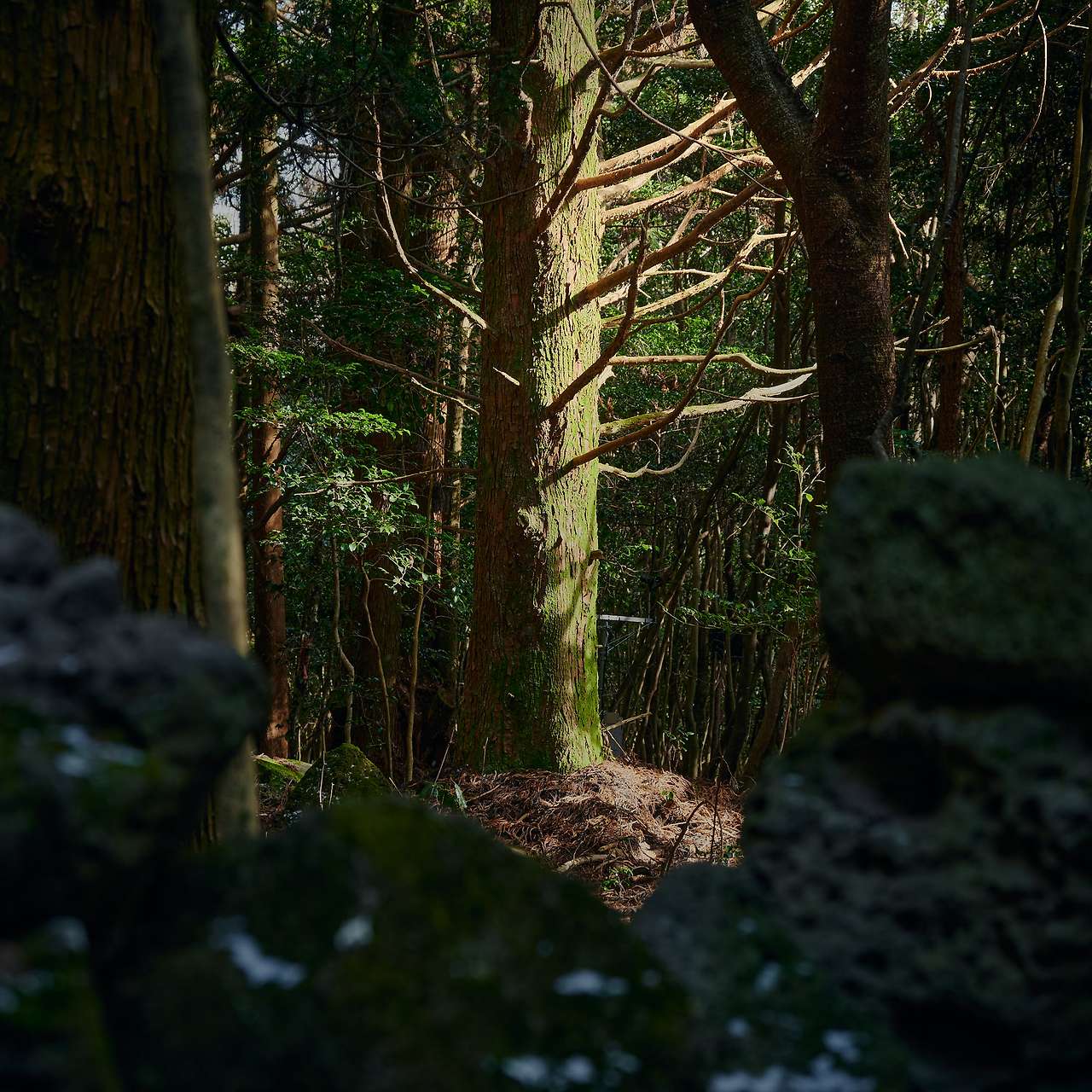 18 Voyage to Jeju-02.jpg