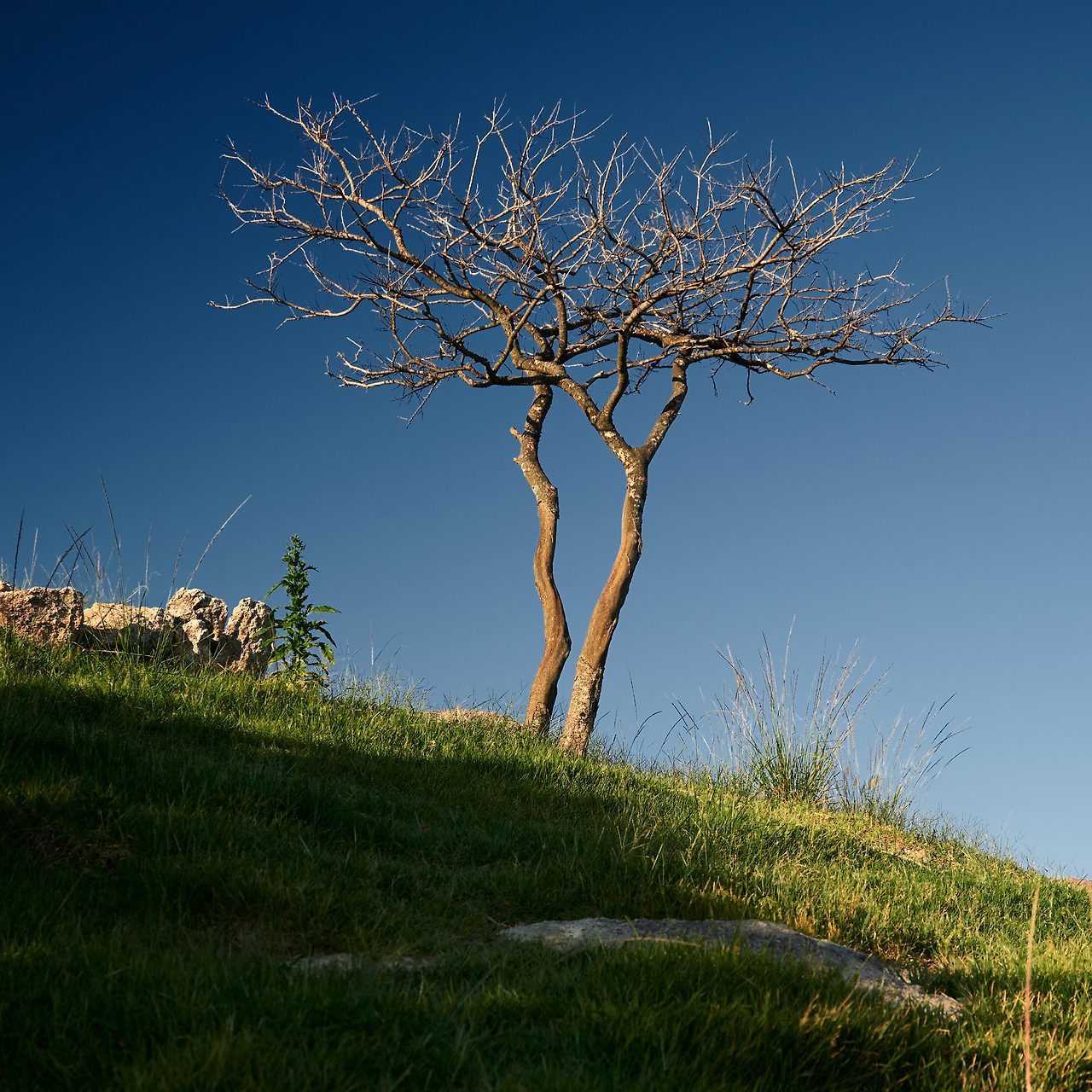 24 hours on an island-14.jpg