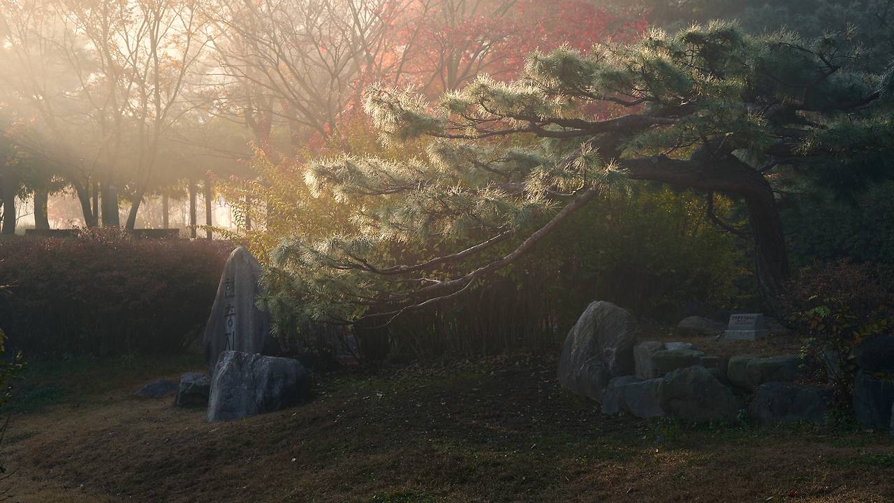 26 autumn at the park-20.jpg