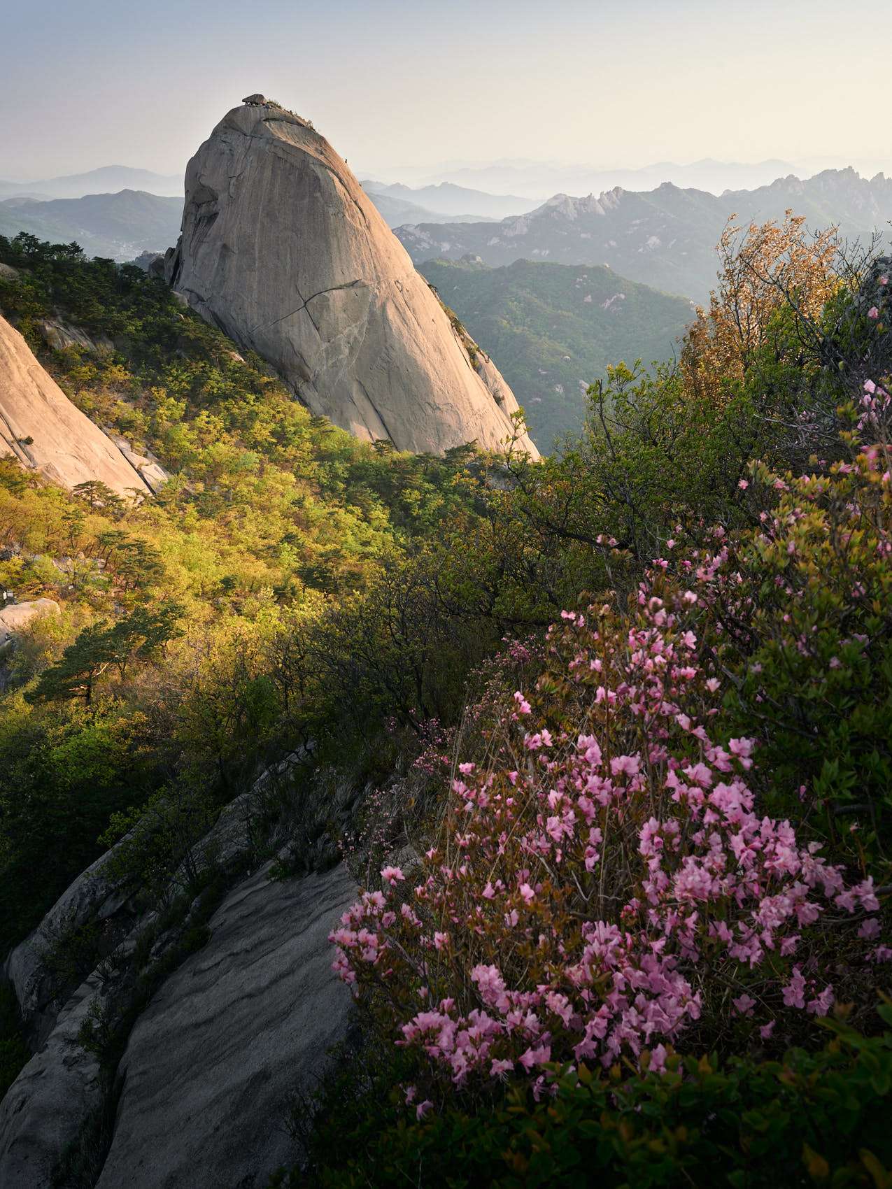 20 Spring, flowers and views-05.jpg