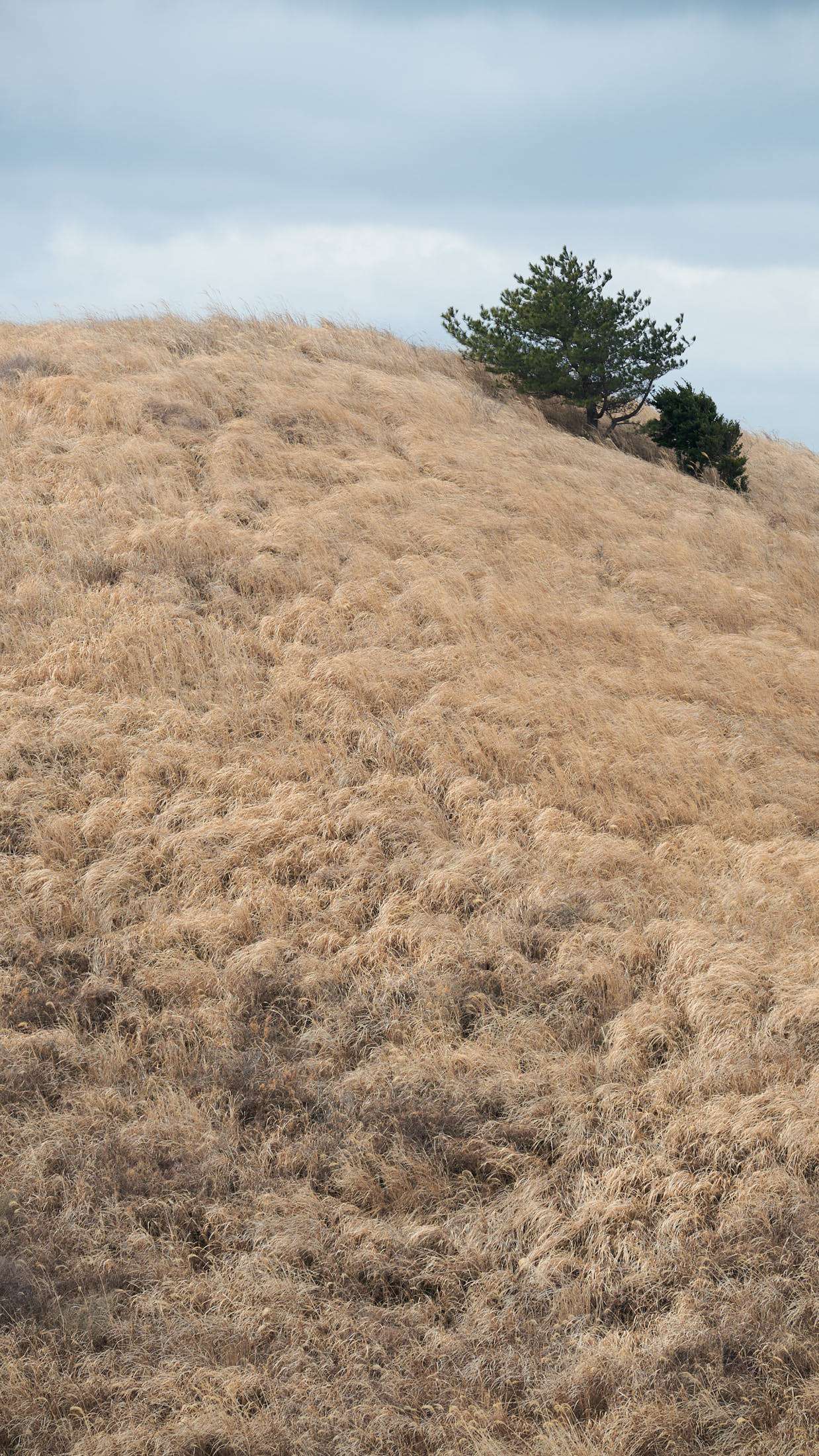 18 Voyage to Jeju-03.jpg