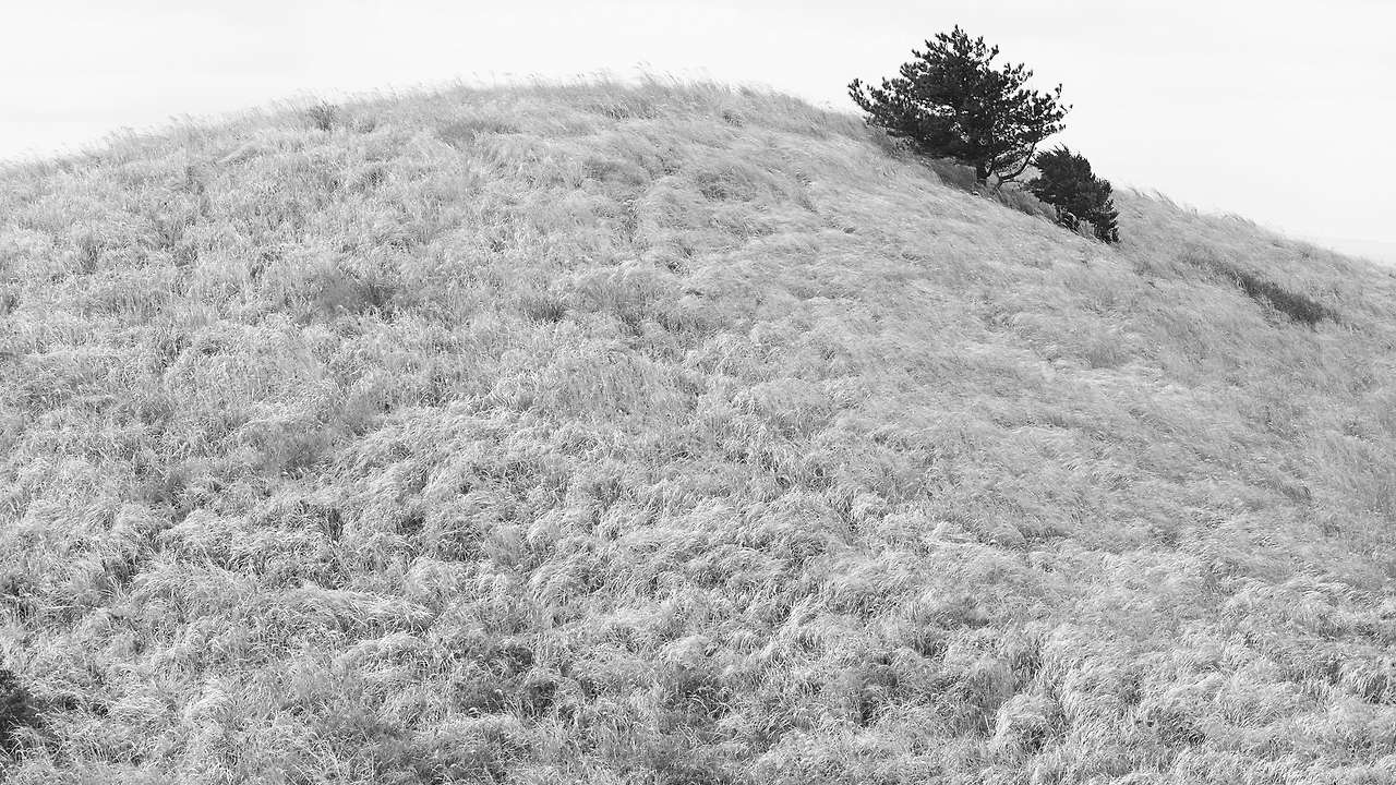 18 Voyage to Jeju-03-02.jpg