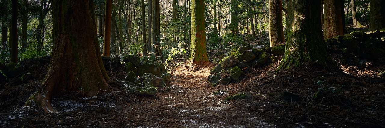 18 Voyage to Jeju-02-2.jpg