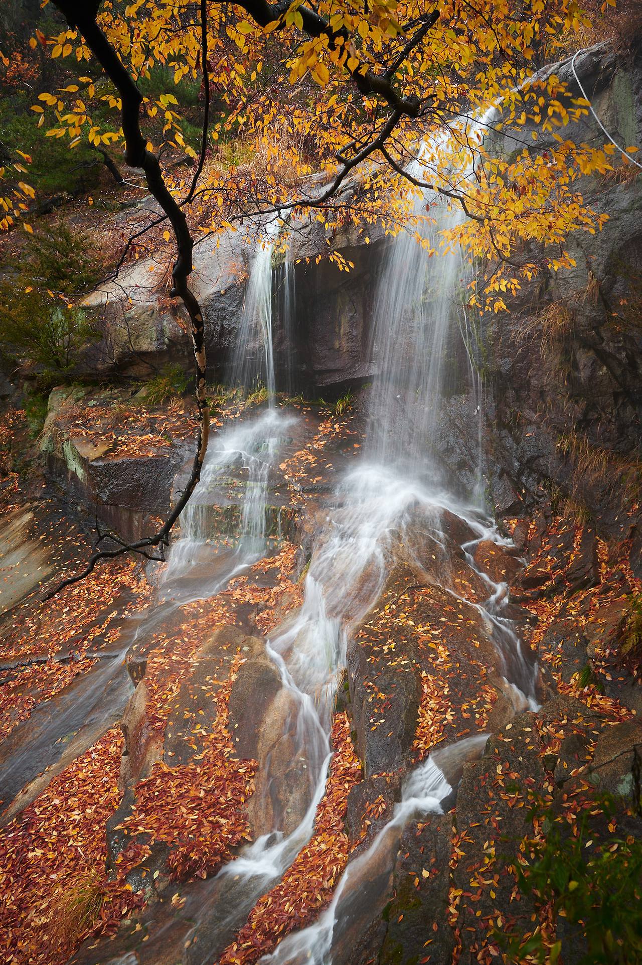 27 1 waterfall 3 seasons-06.jpg