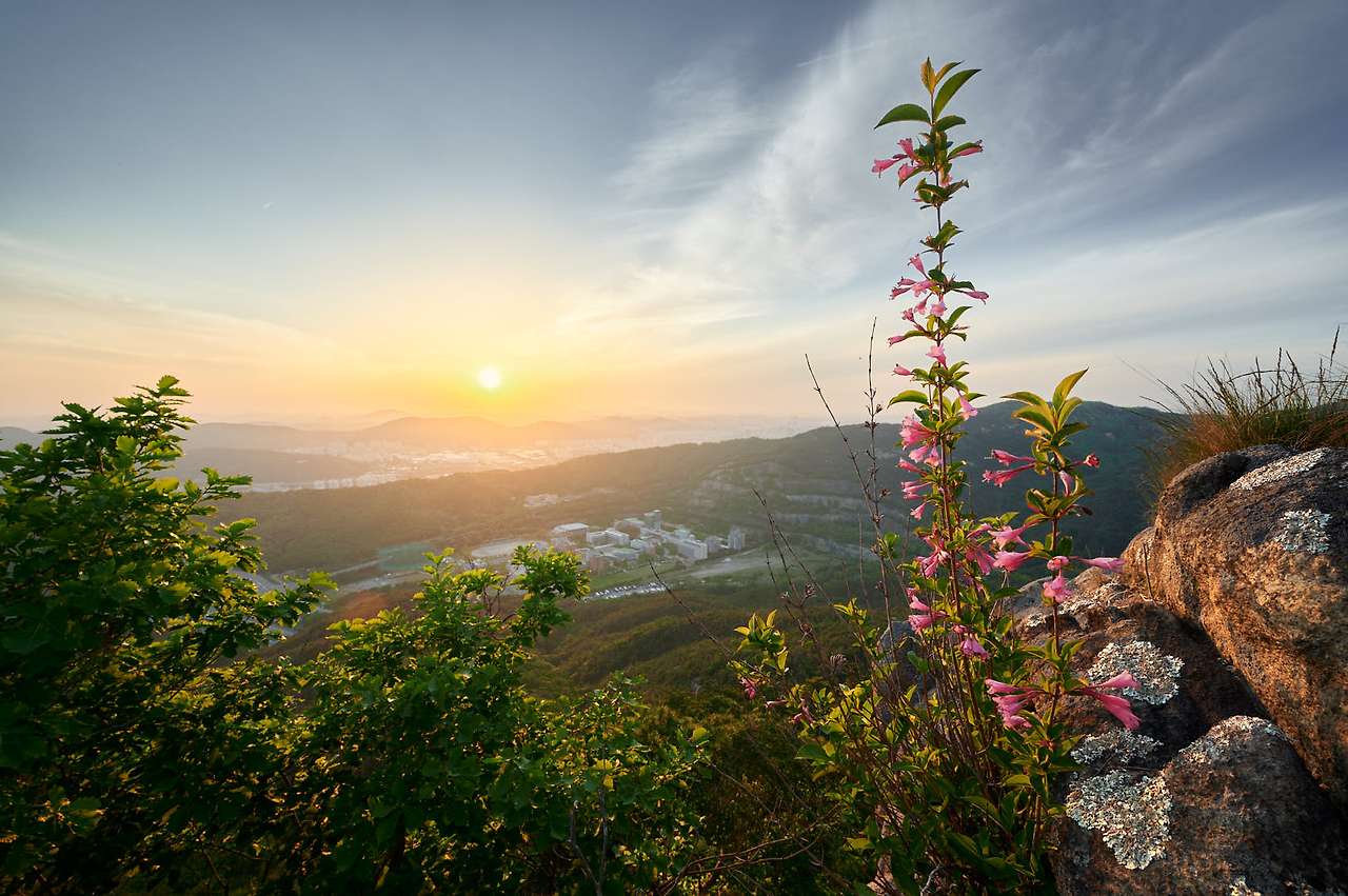 20 Spring, flowers and views-16.jpg