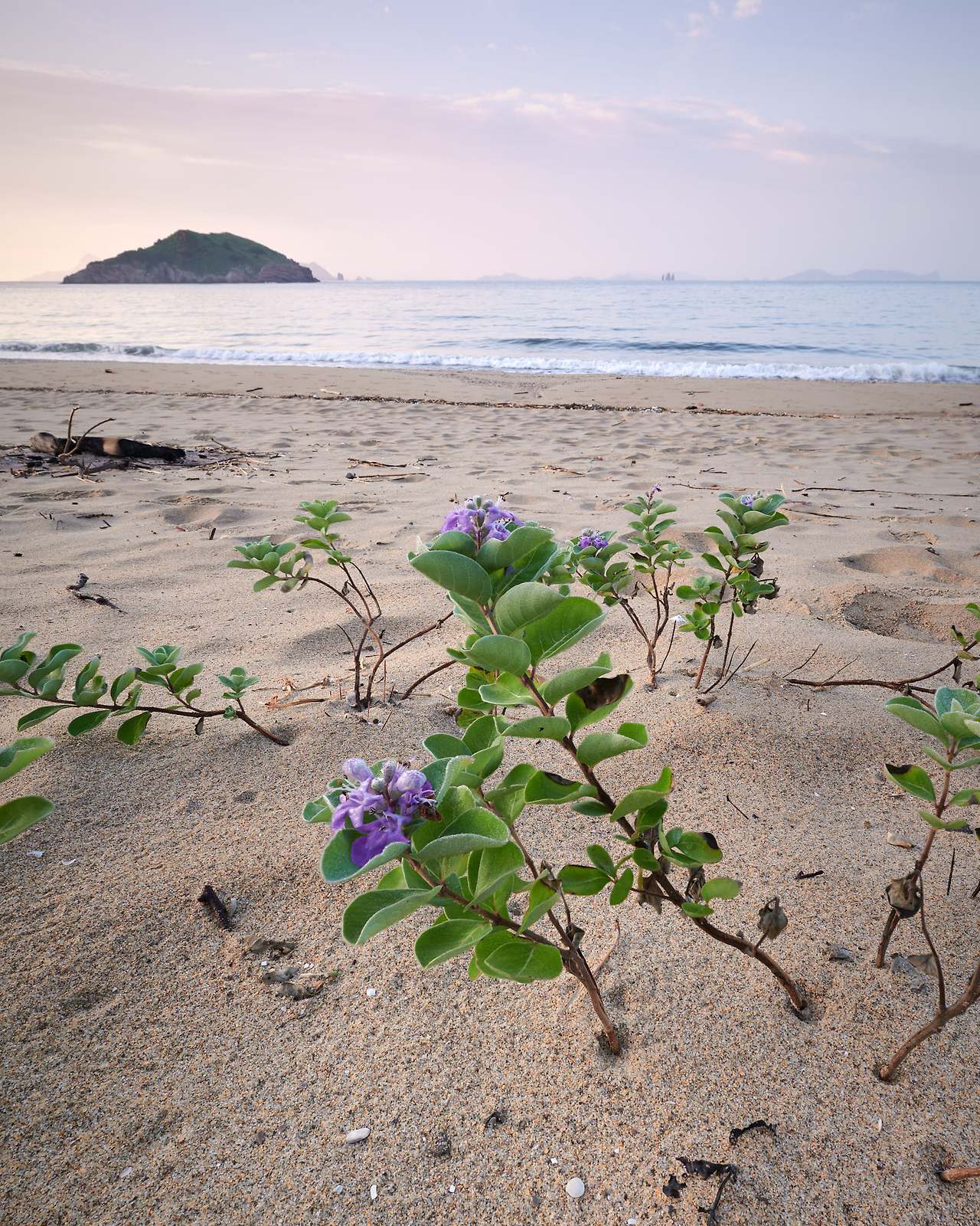 24 hours on an island-09.jpg