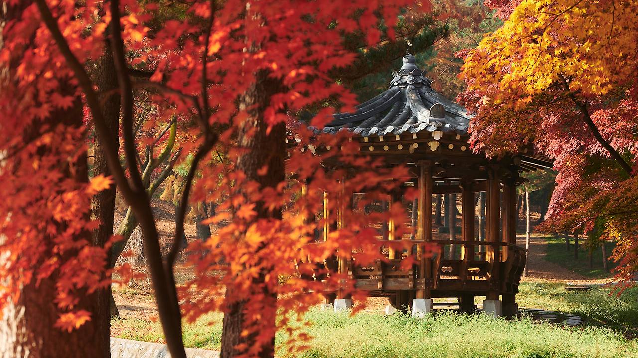 26 autumn at the park-04.jpg