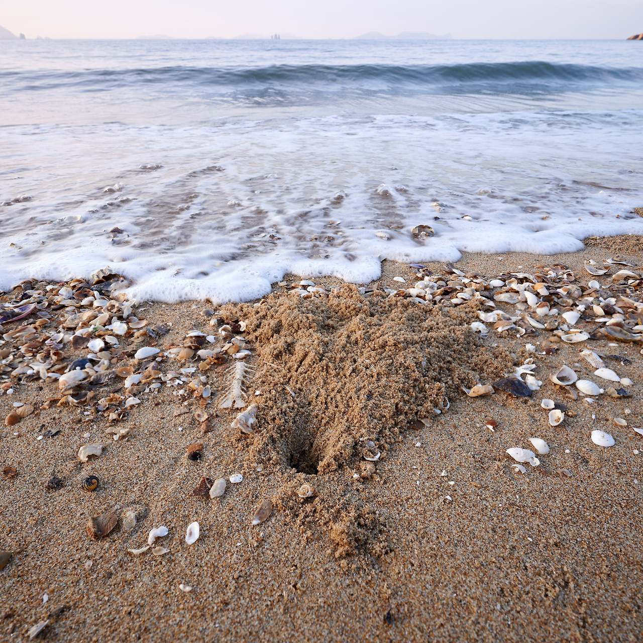 24 hours on an island-12.jpg