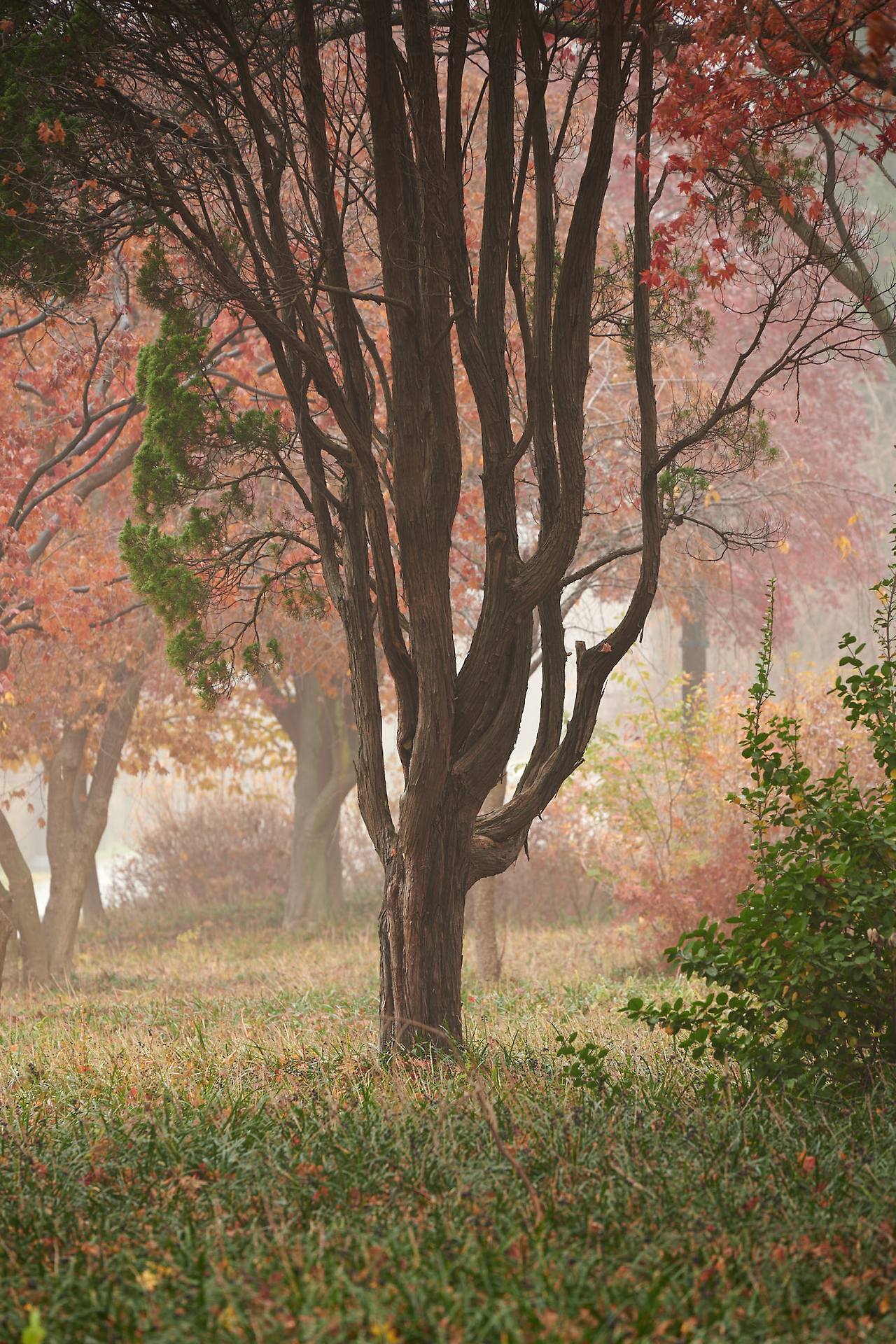 26 autumn at the park-02.jpg