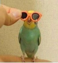 화면 캡처 2023-06-08 111011.jpg