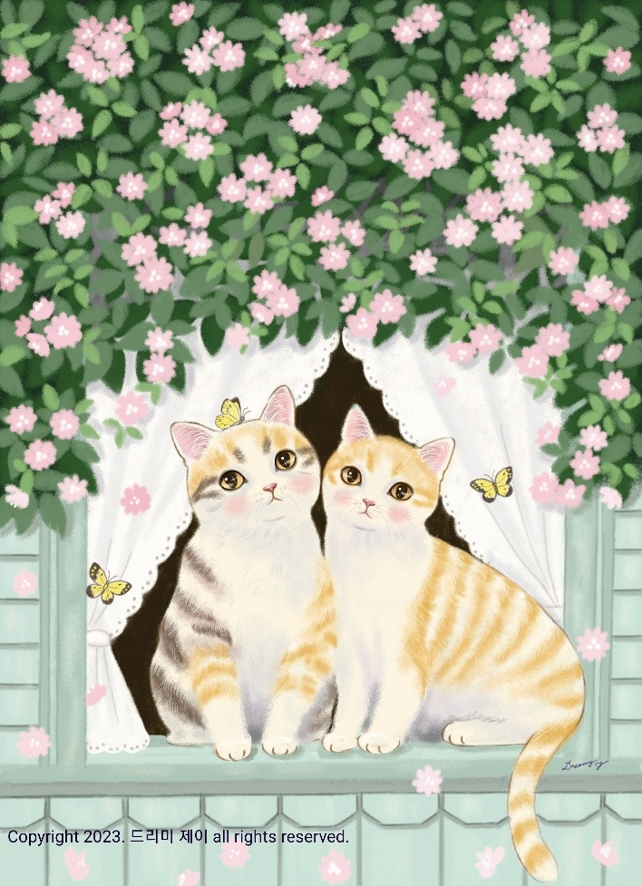 드리미 제이 3.jpg