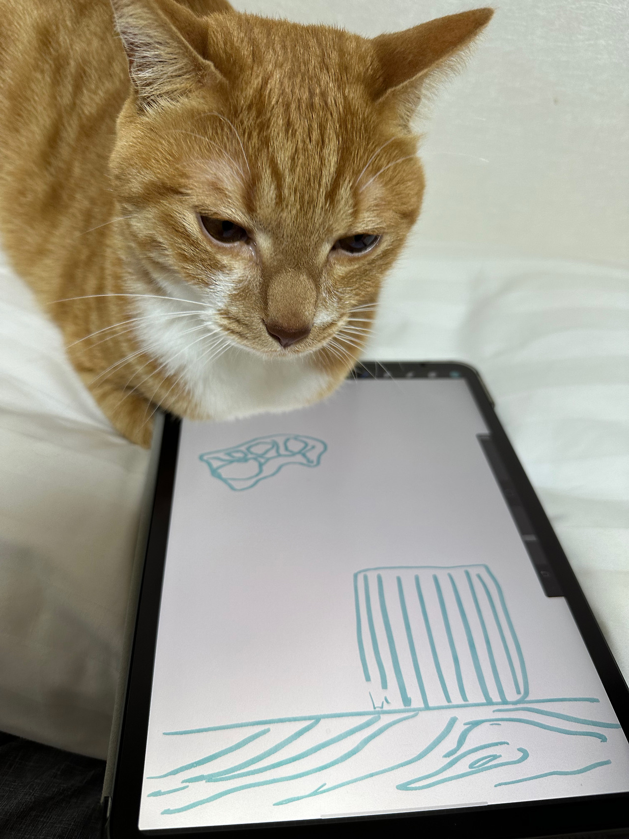 플러플리-6-작업할 때 함께 하는 레오.jpg