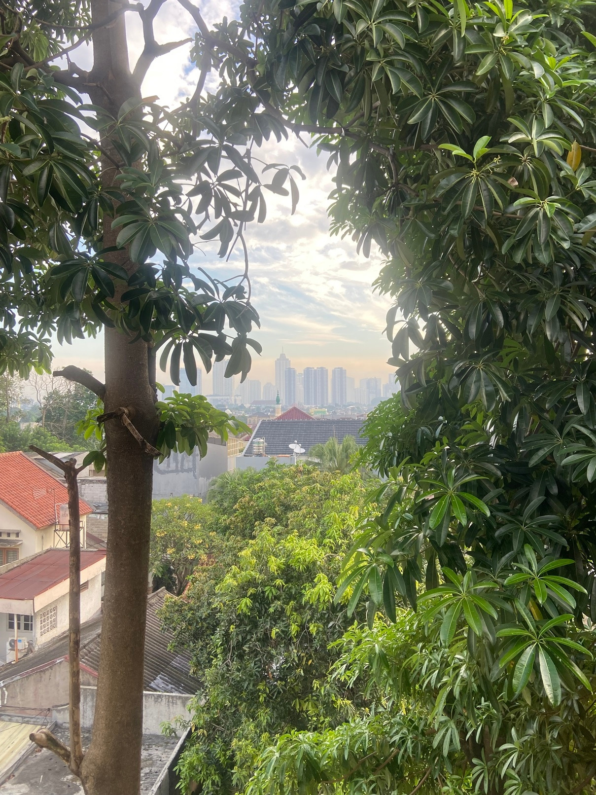 아침_호텔서 본 바깥 풍경.jpg