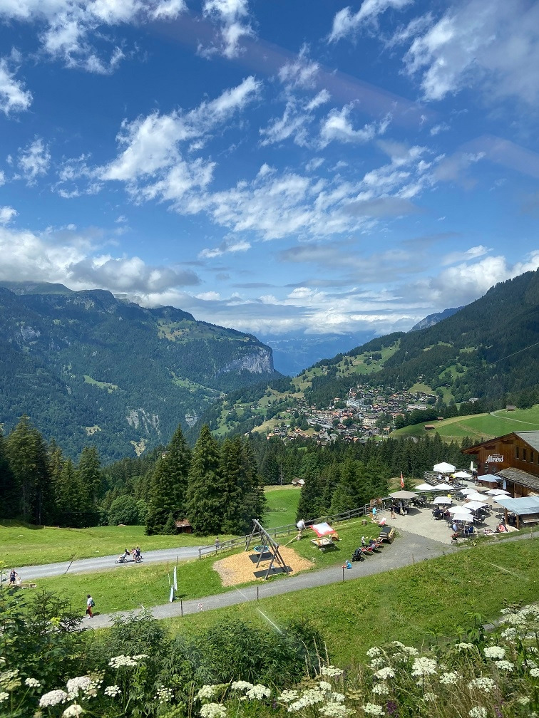 융프라우에서 내려오는 열차안에서 2.jpg