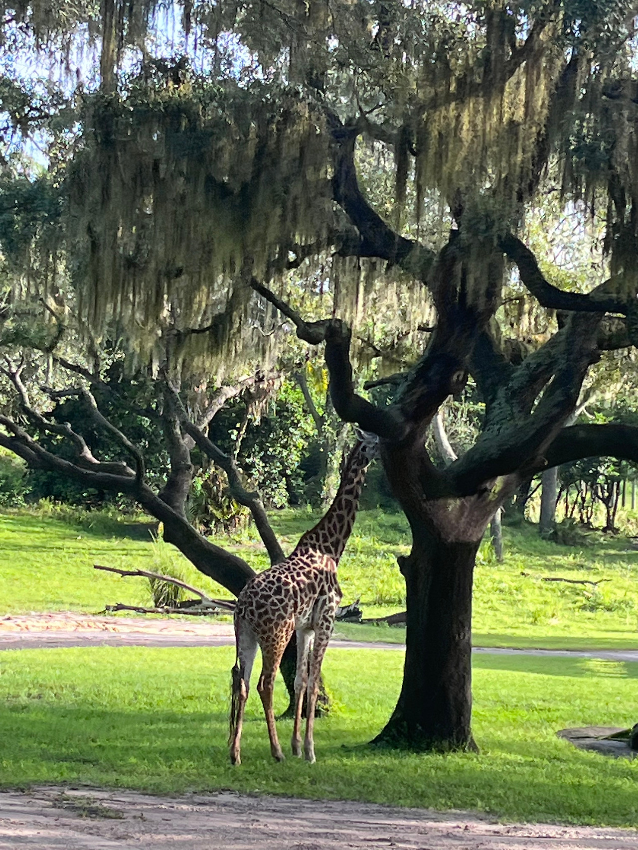 KakaoTalk_20230404_102709082_09 (1).jpg