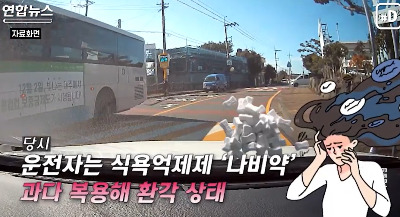 나비약 기사.jpg