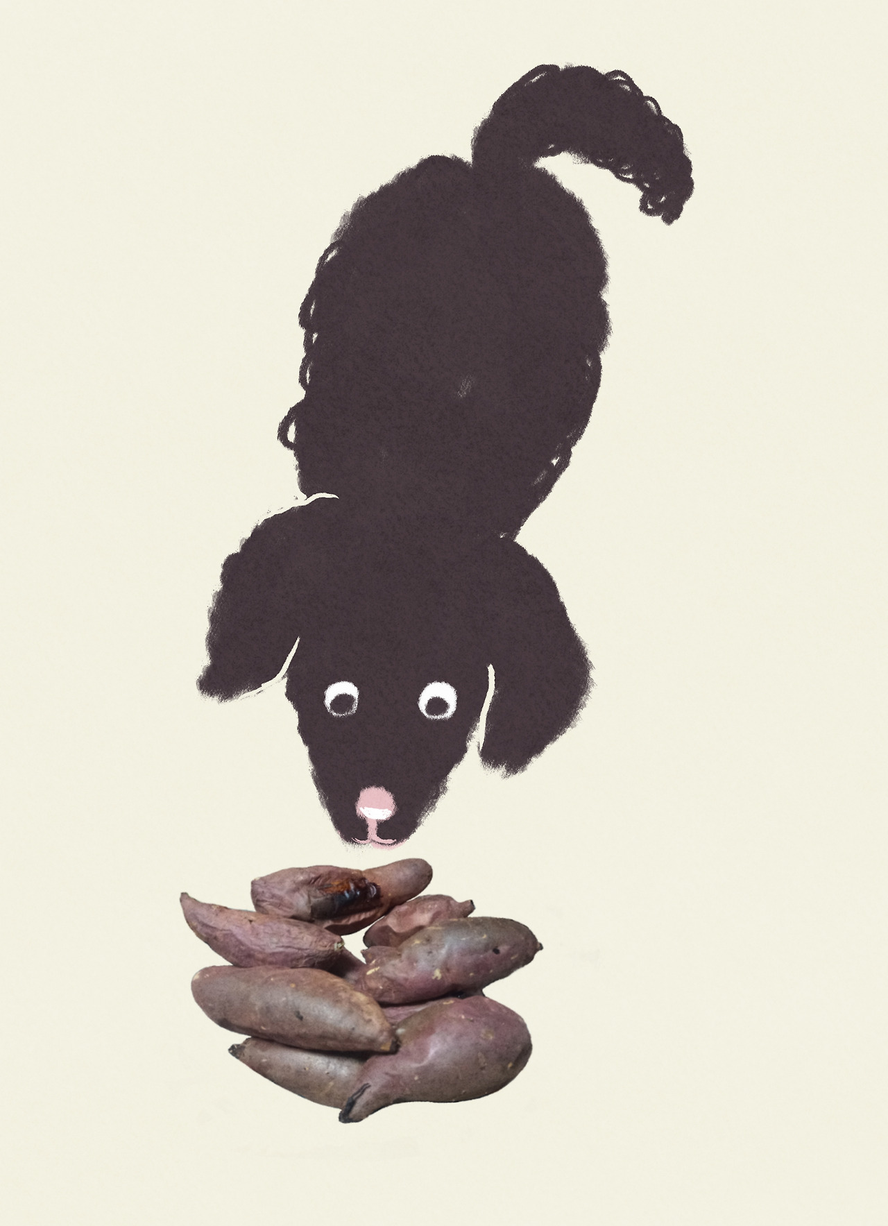 230308-1 복사.jpg