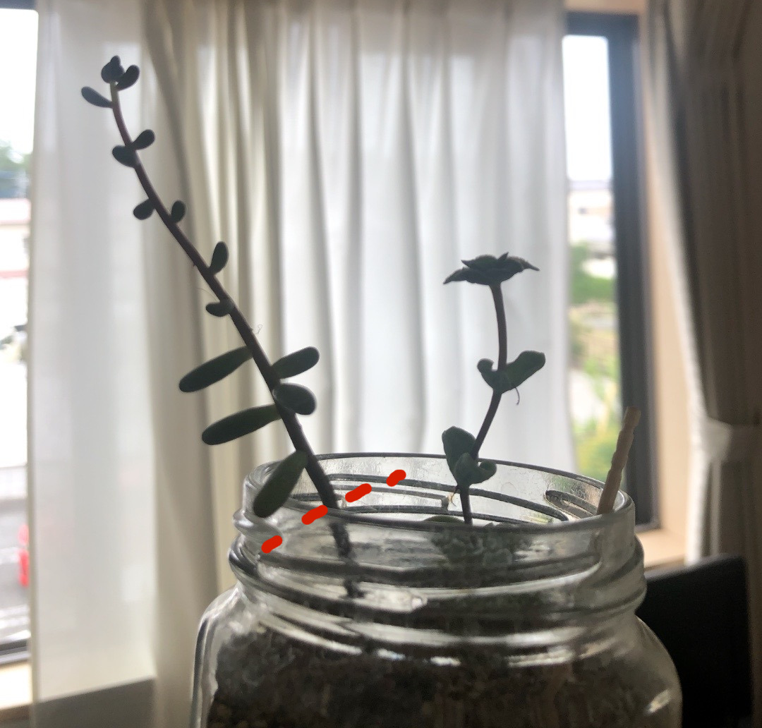 E0A8C5D1-351F-4B0E-8EBD-69AEDDAAB0A5 (1).jpg