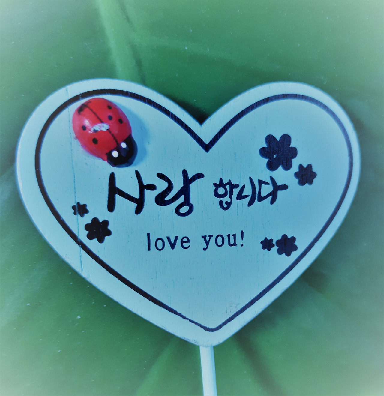 20230508_183258 (2).jpg