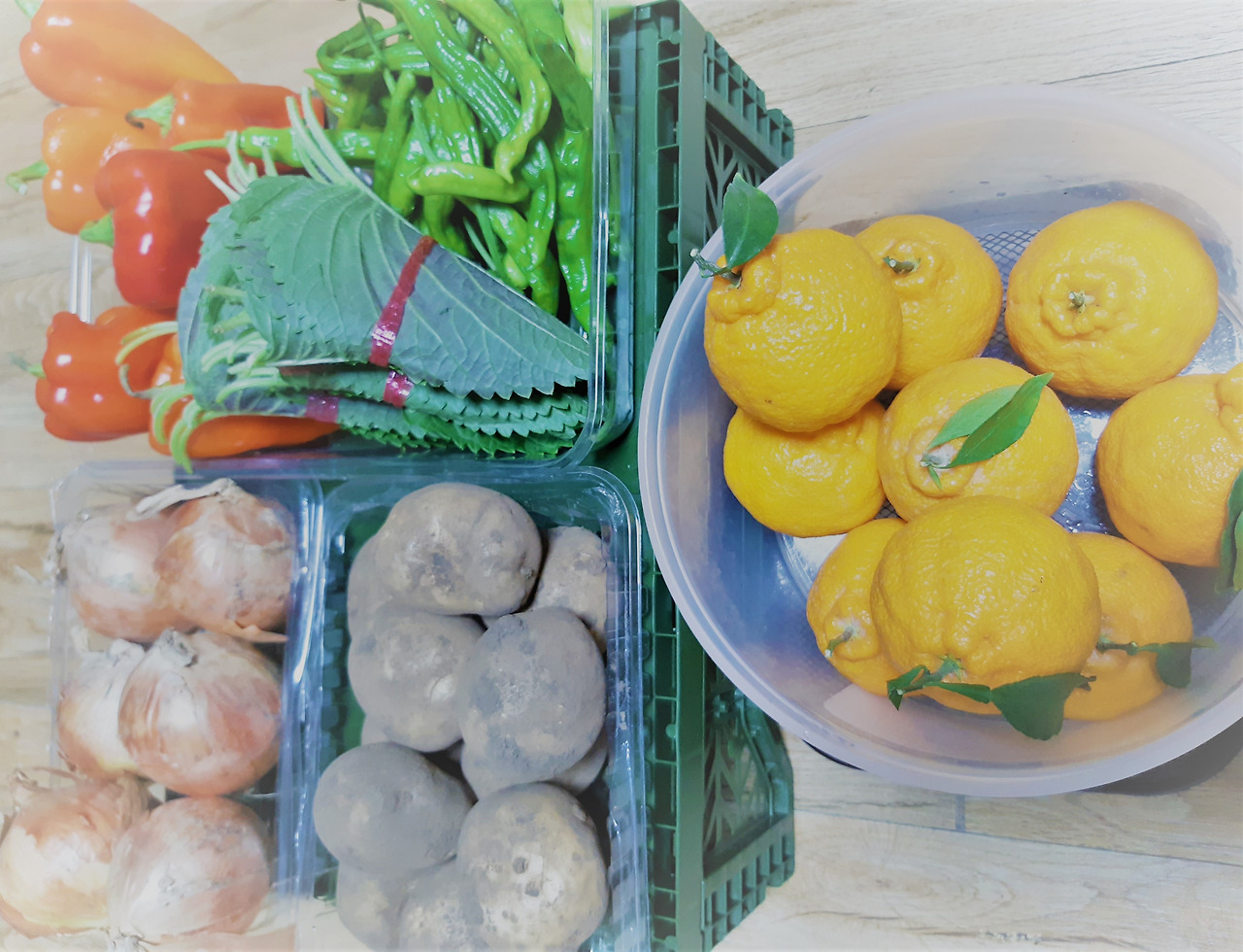 20230217_182220 (2).jpg