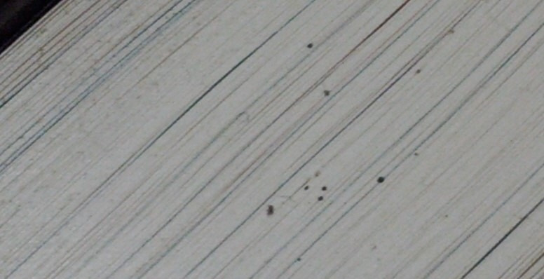 꾸미기_IMG_20120221_210158 (2).jpg