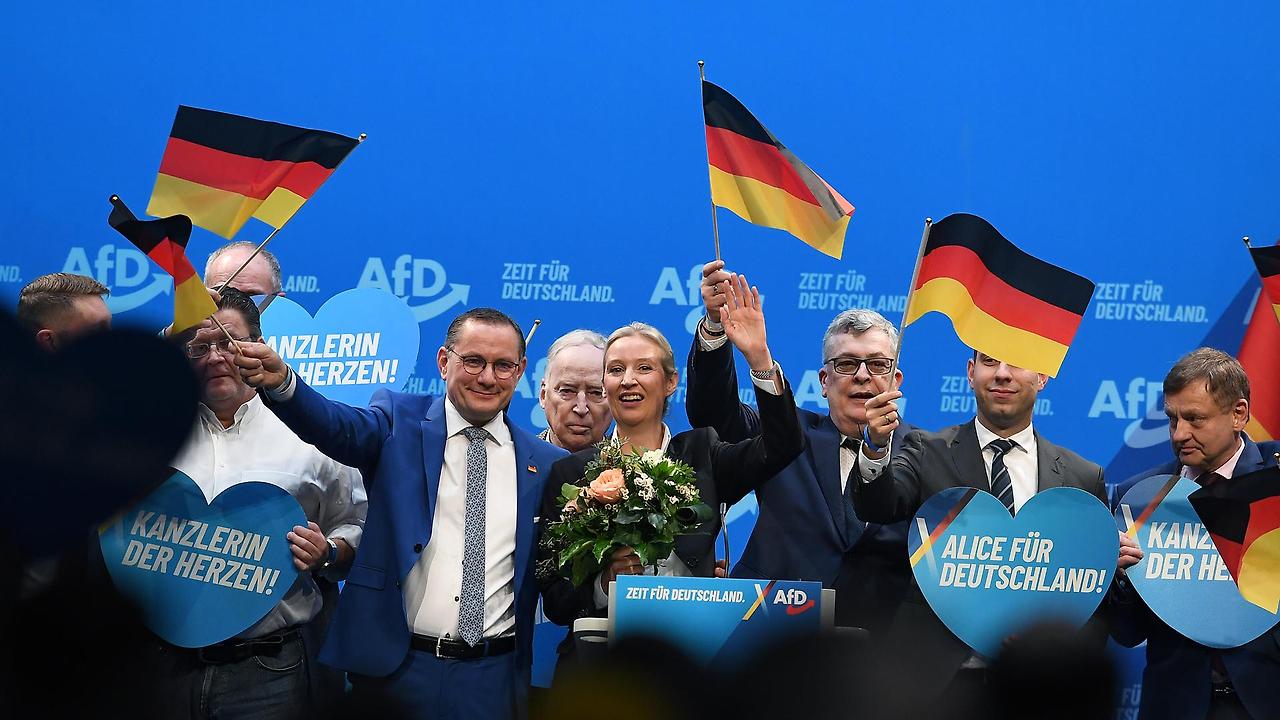 afd.jpg