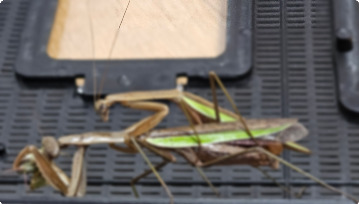 20230924_182618 (1).jpg