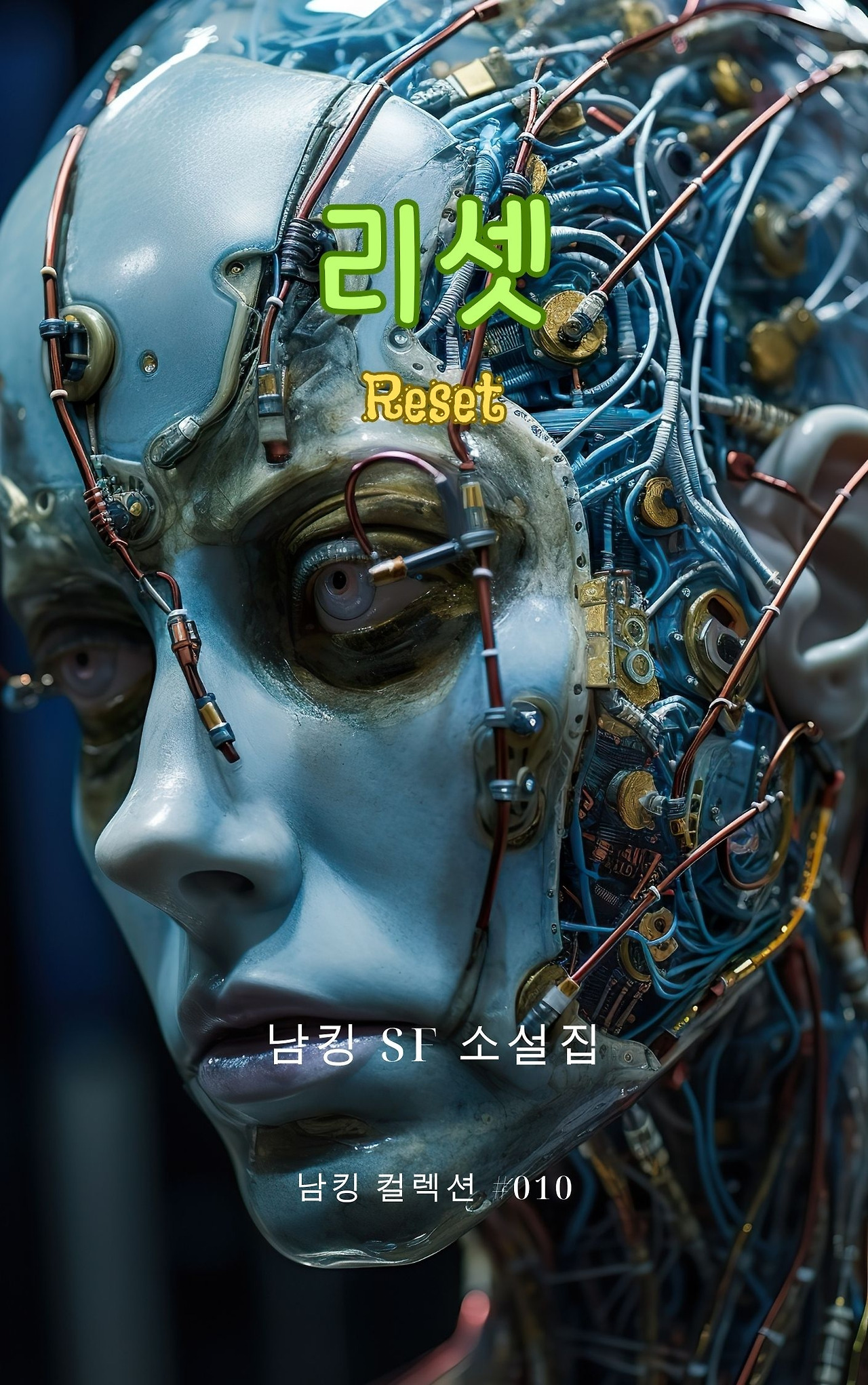 Reset Book Cover  (58).jpg