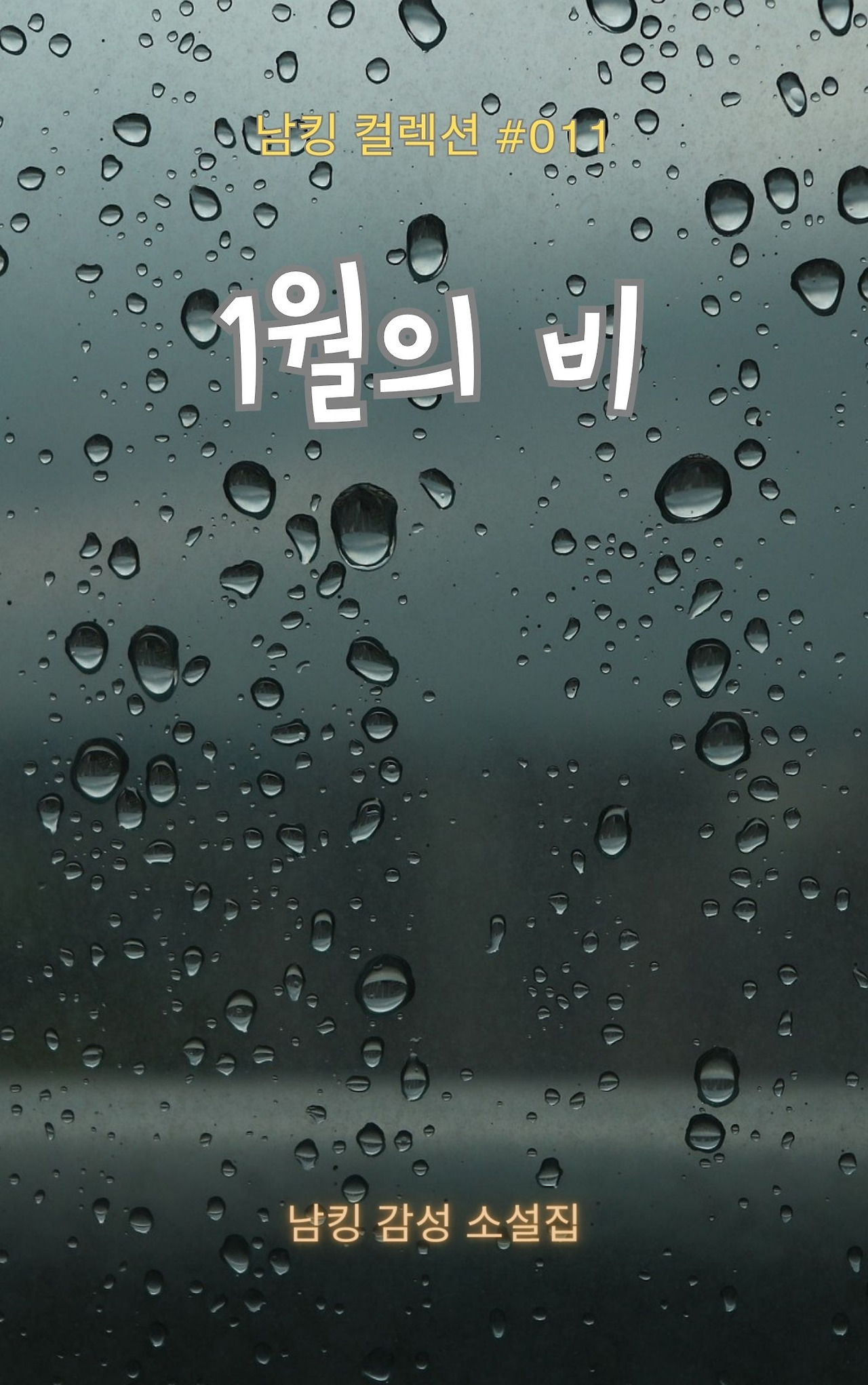 1월의 비 Book Cover (10).jpg