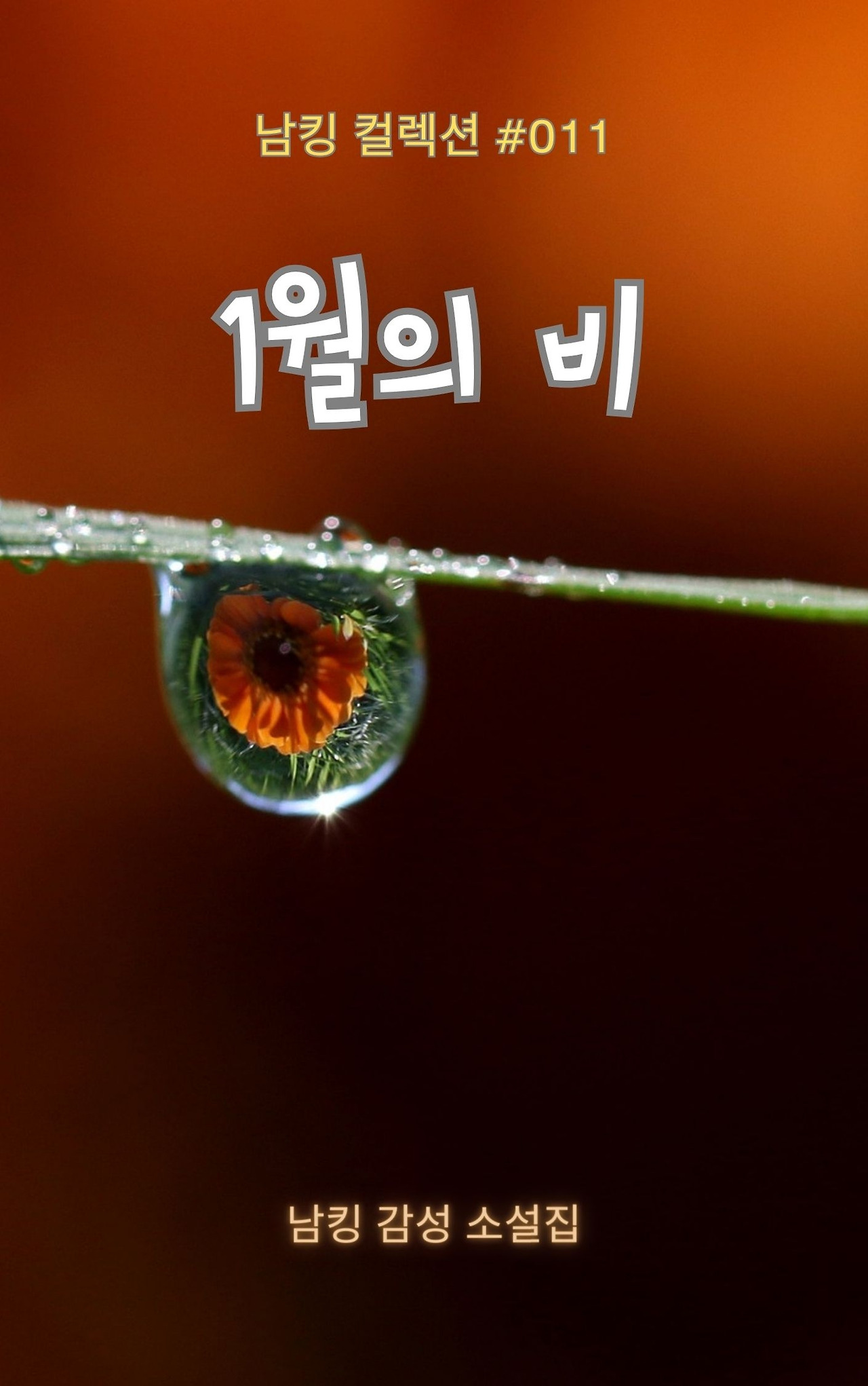 1월의 비 Book Cover (6).jpg