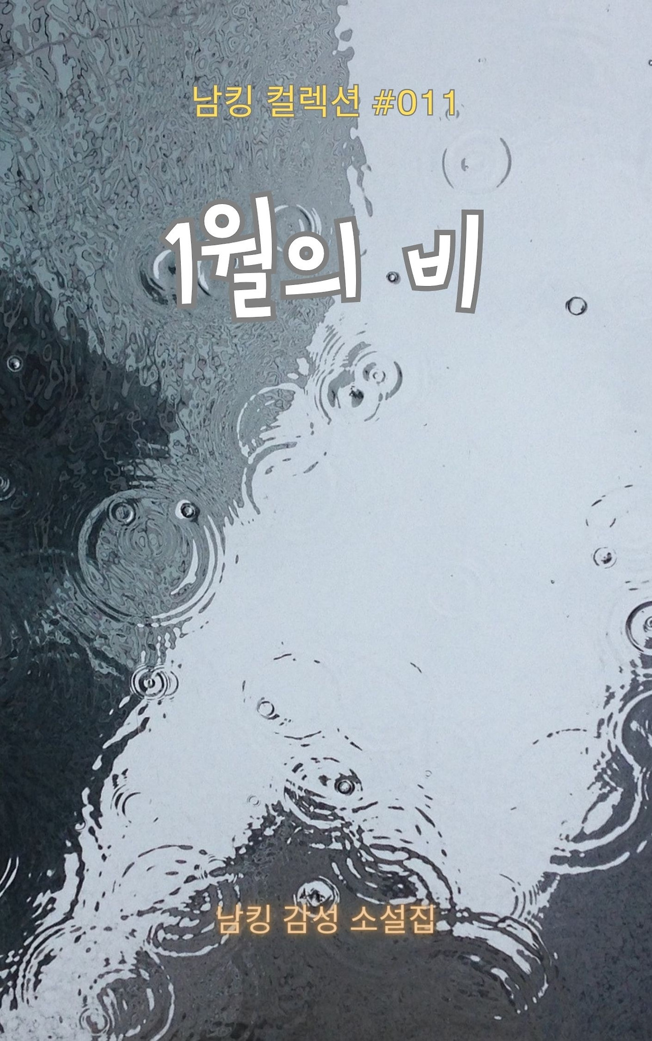 1월의 비 Book Cover (3).jpg