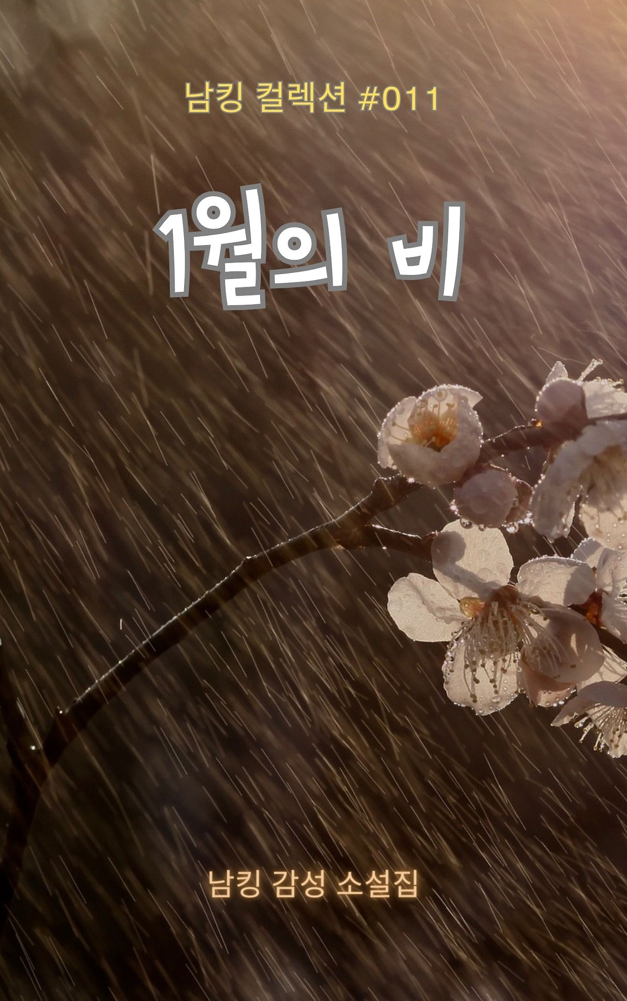 1월의 비 Book Cover (11).jpg