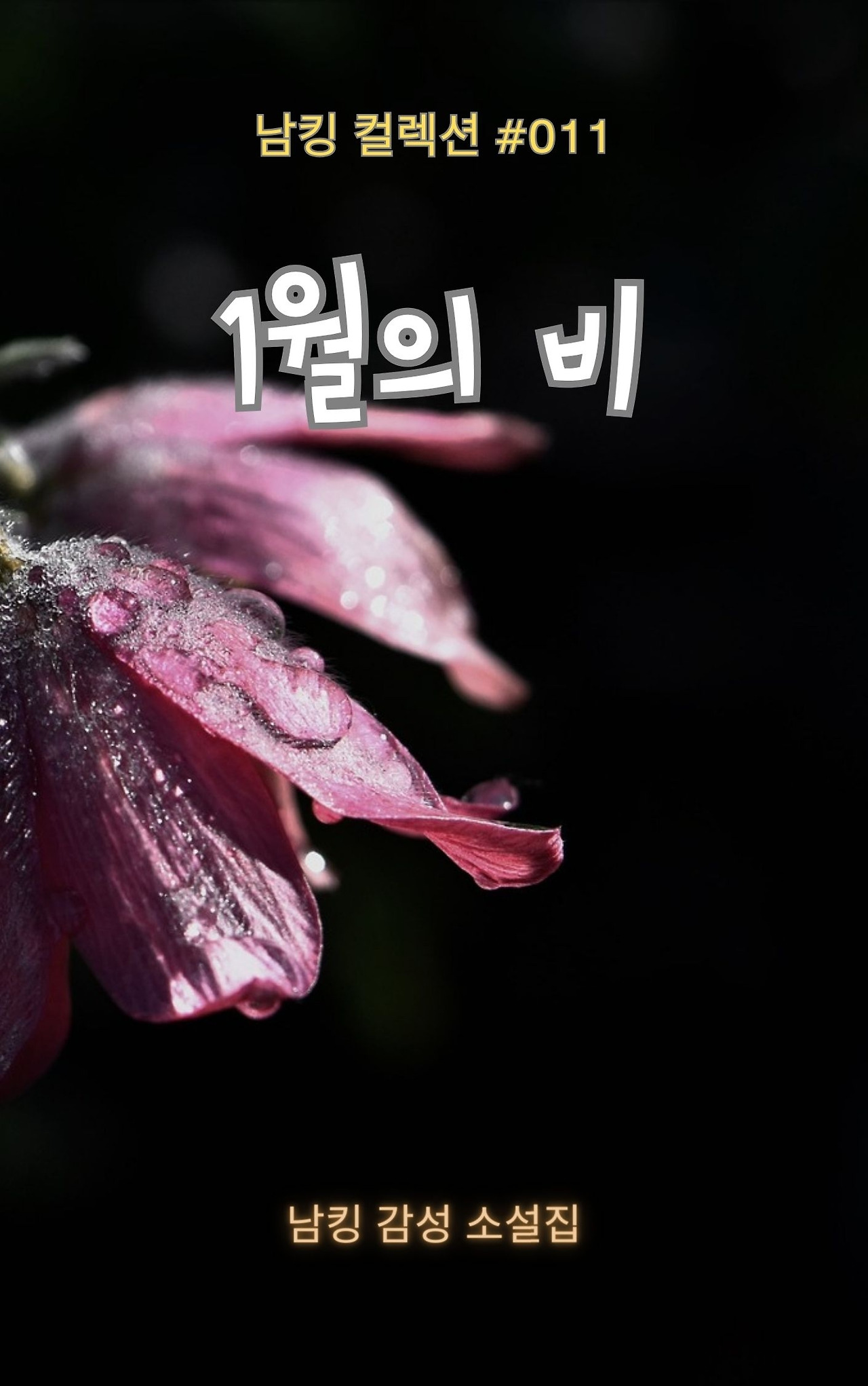 1월의 비 Book Cover (5).jpg