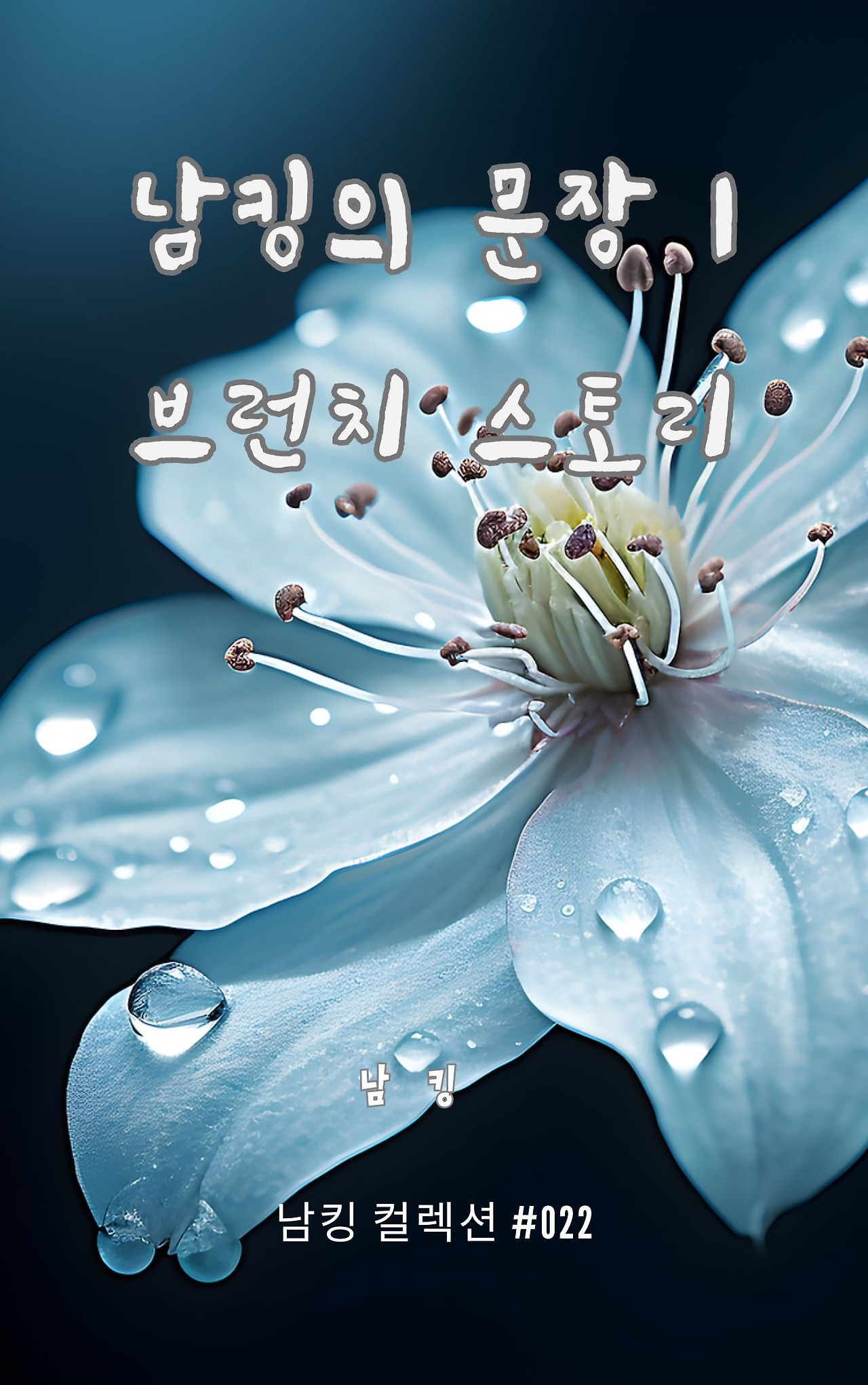 남킹의 문장 1 브런치 스토리 (2).jpg