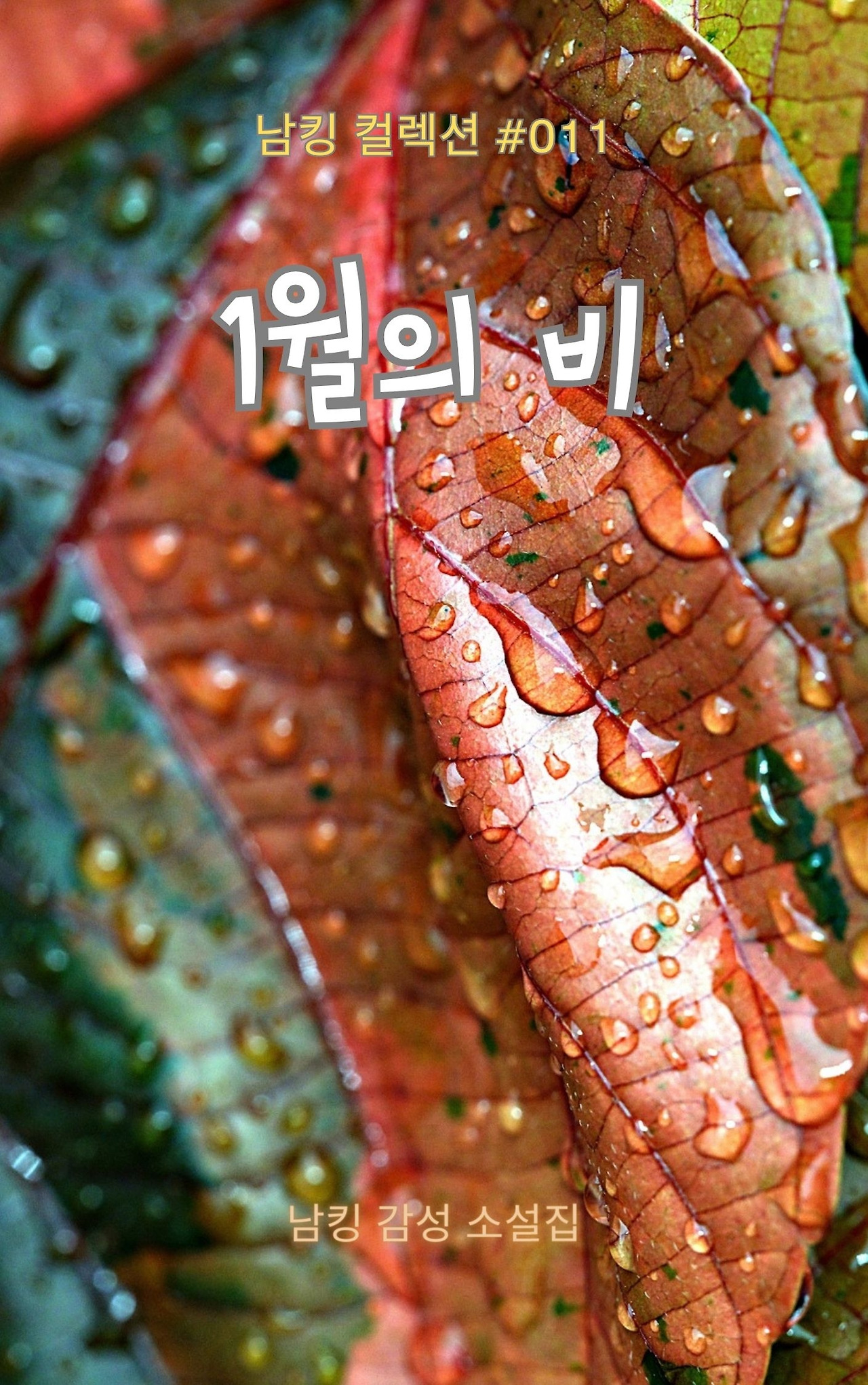 1월의 비 Book Cover (9).jpg