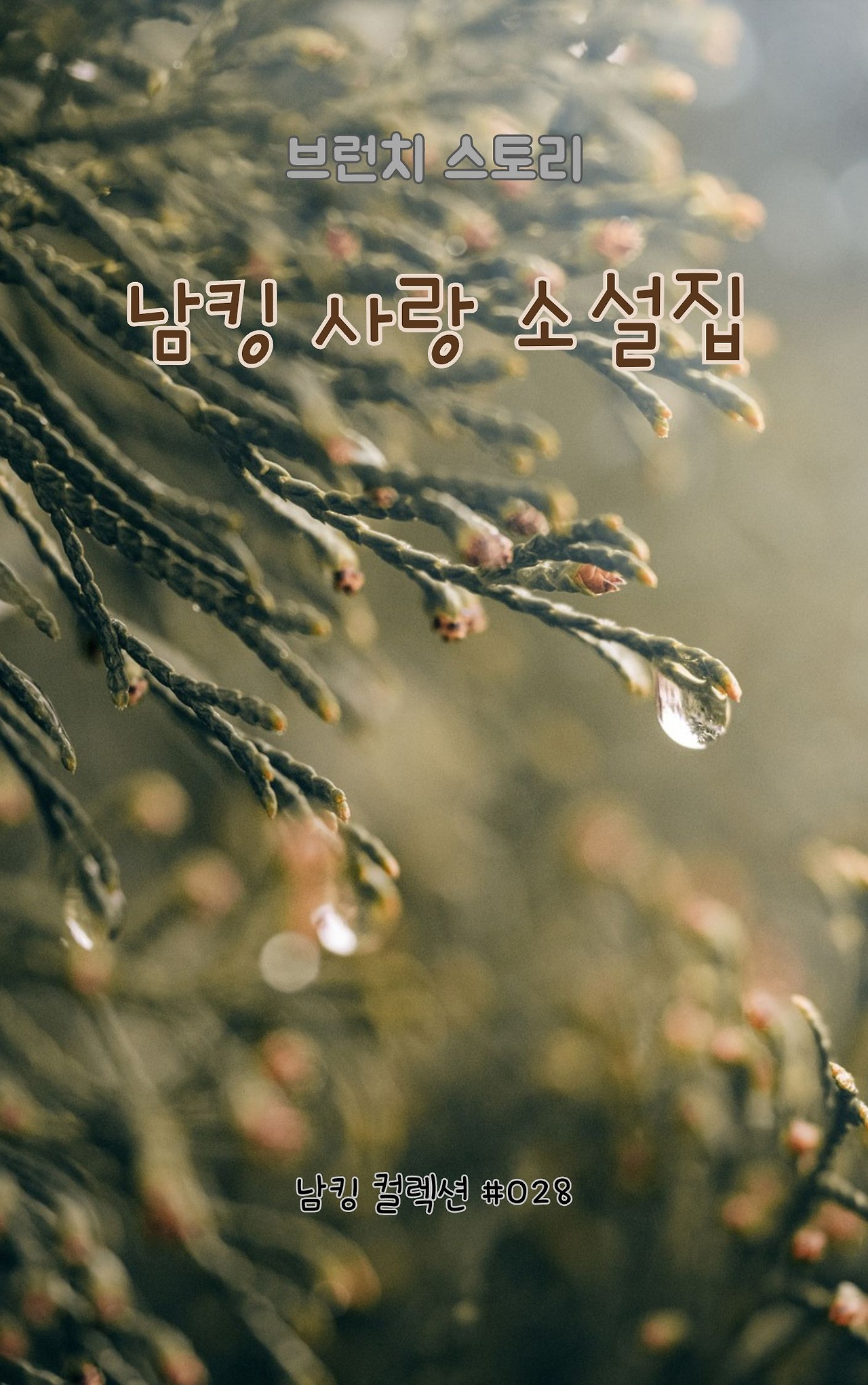 남킹 사랑 소설집 - 2024-01-09T144155.862.jpg